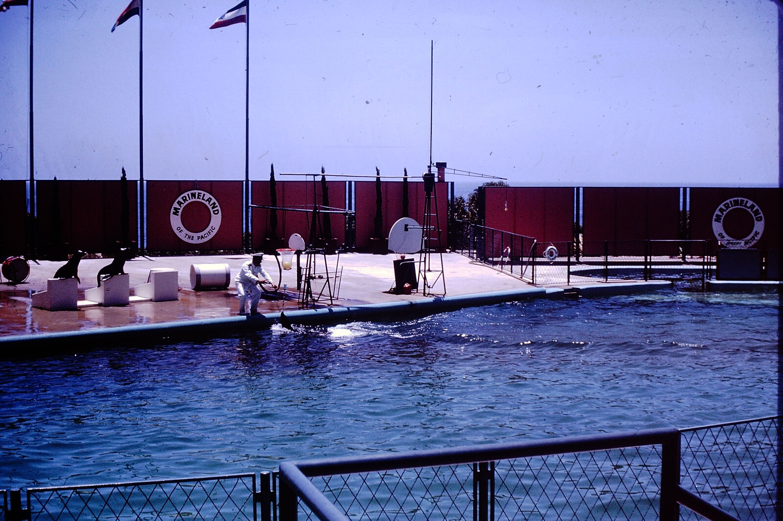 JULY 1963 Marineland California  Kodachrome Slide AN-D