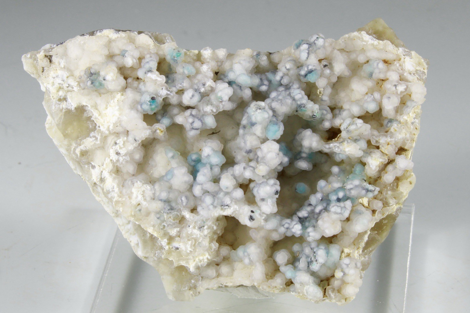 New Find Gorgeous CHRYSOCOLLA Included CHALCEDONY - Obi Island, Indonesia