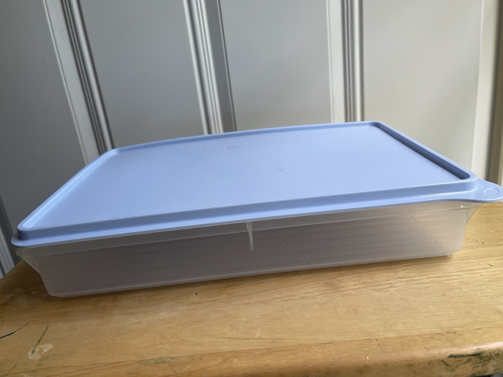 New Tupperware 9 X 13 Snack & Store