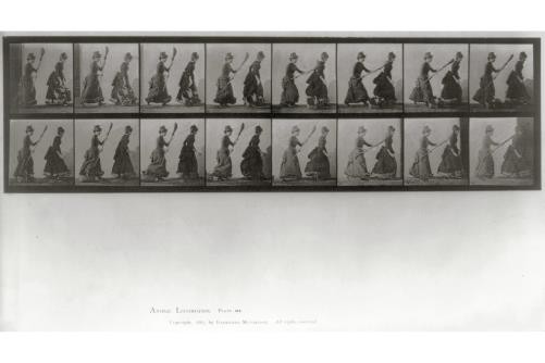 Eadweard Muybridge 1880s Woman Striking Woman with Broom Animal Locomotion