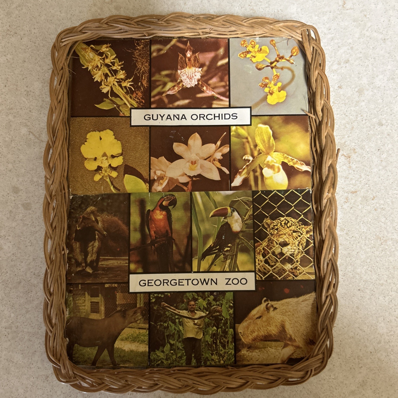 Vintage Souvenir From Guyana & Georgetown Zoo Beautiful Collection Piece Rare