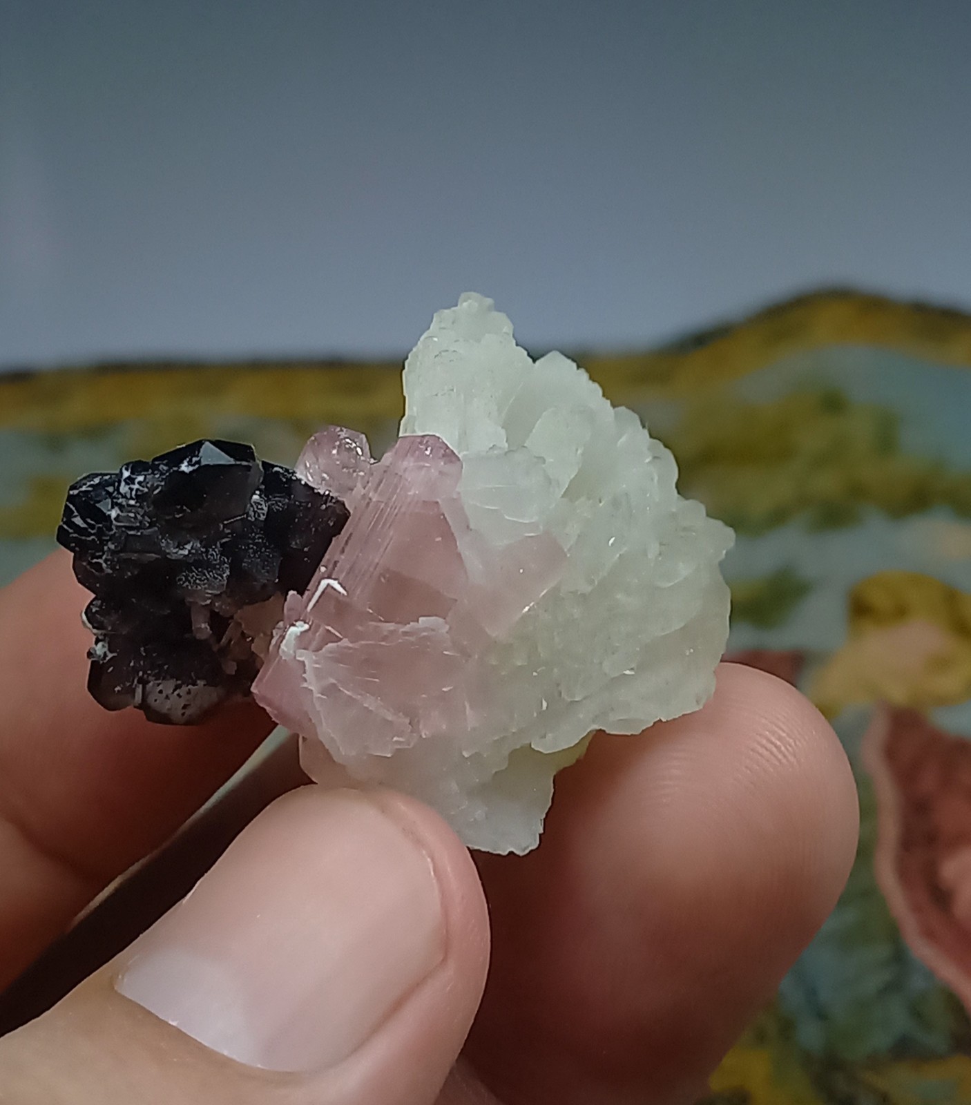 Collectors Combo of Pink Tourmaline with smoky quartz with Albite:23g