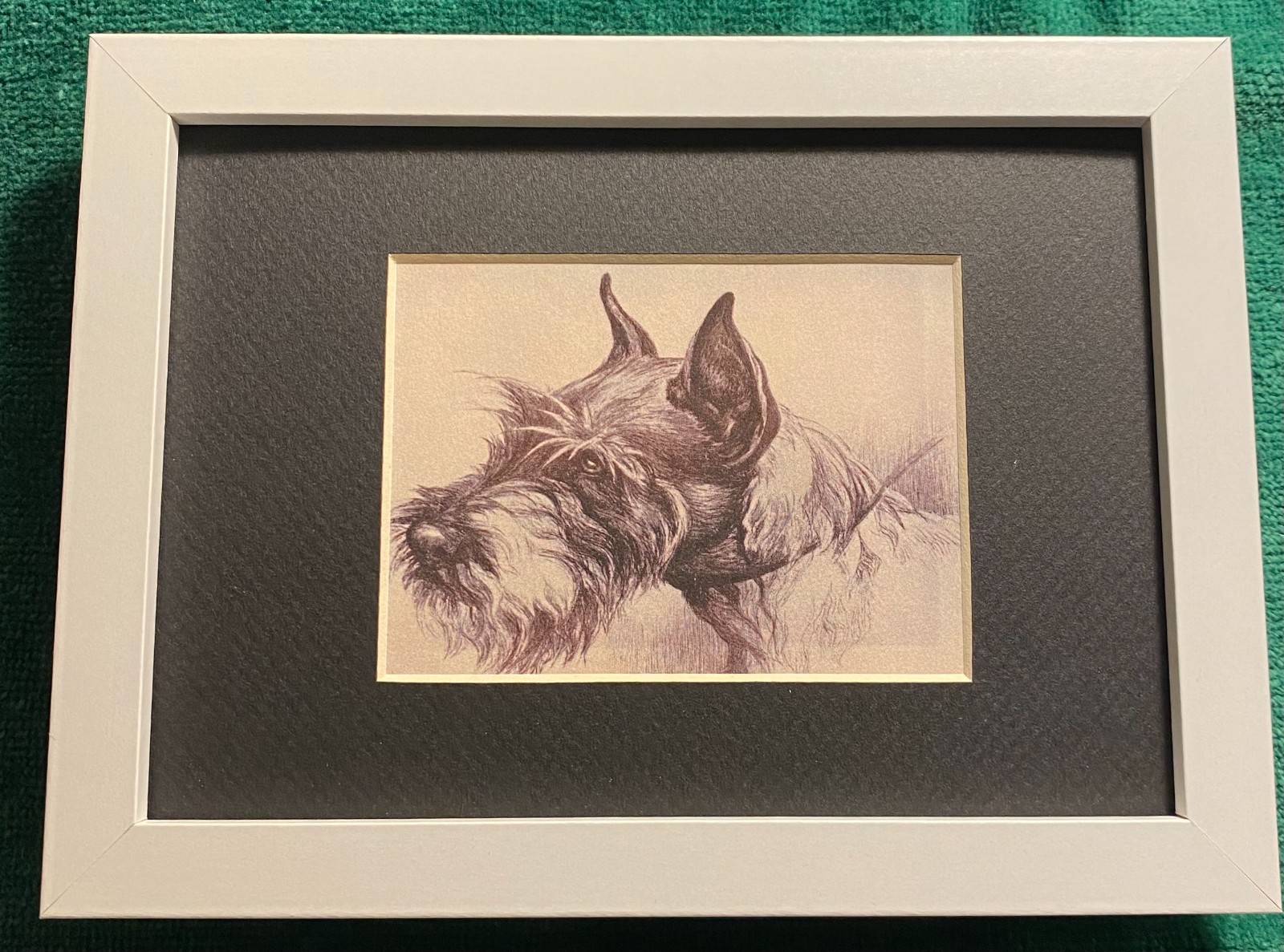 Schnauzer MATTED | FRAMED | READY TO GIFT - 1986 Vintage Dog Art Print W
