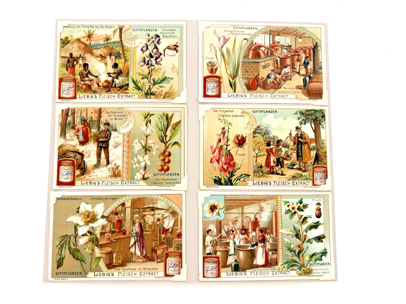 Great German Victorian Trade Cards 