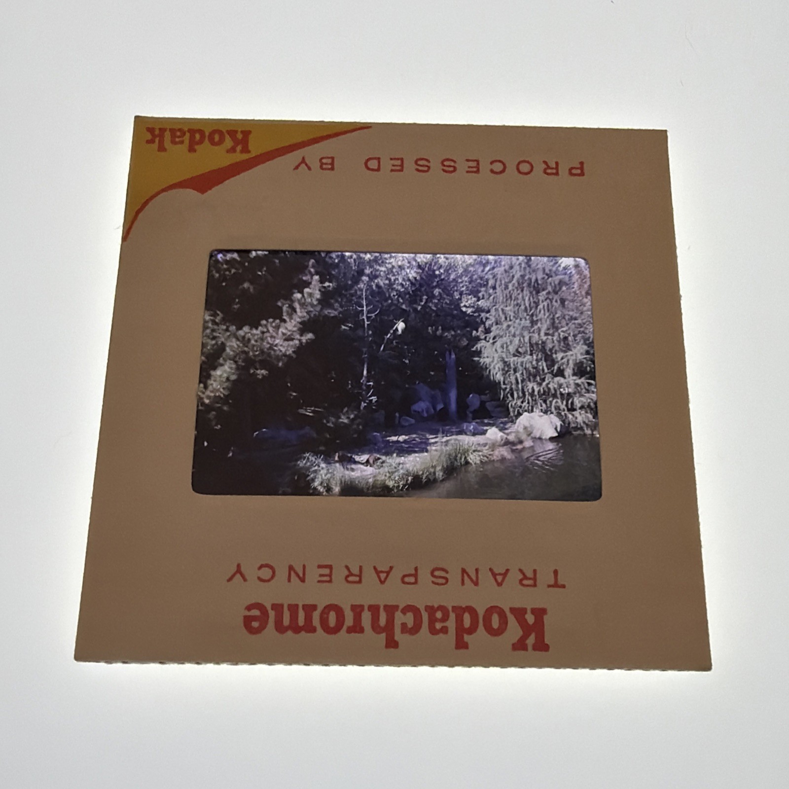 Vintage 35mm Color Film Slide - Disneyland Travel 1966
