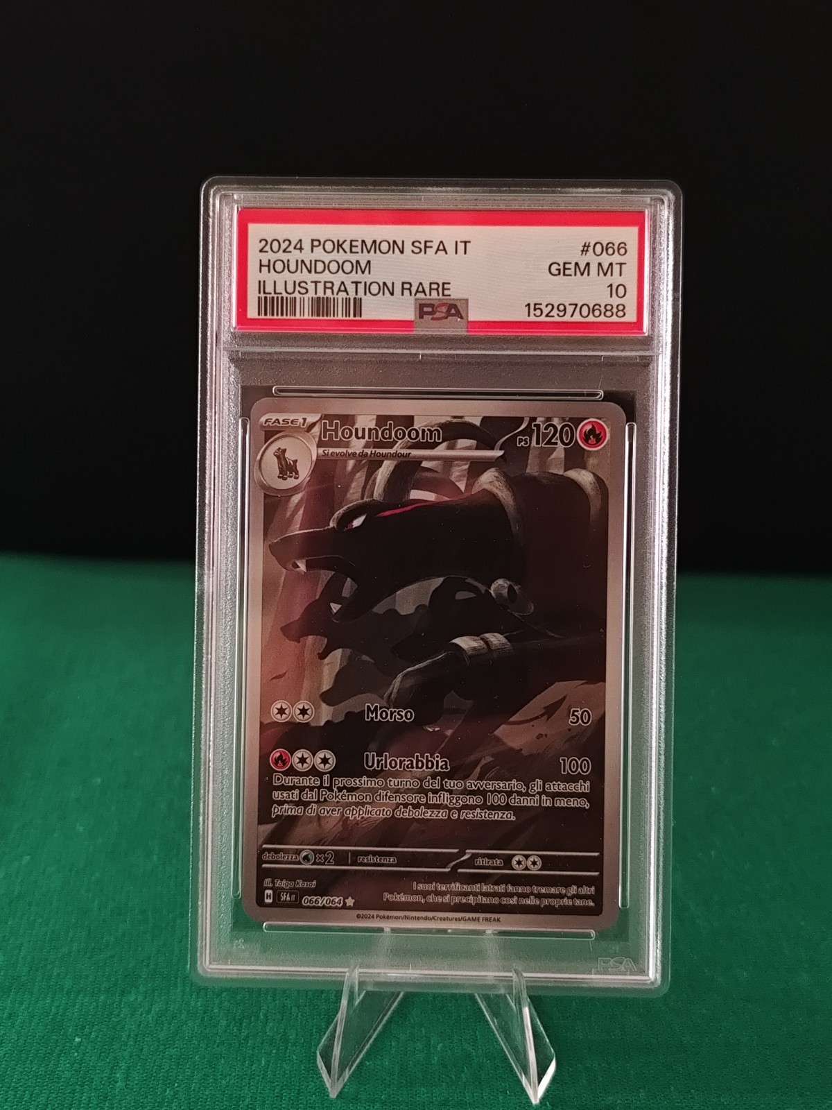 Pokemon PSA 10 GEM MT Houndoom Illustration Rare 066/064 SFA ITA 2024
