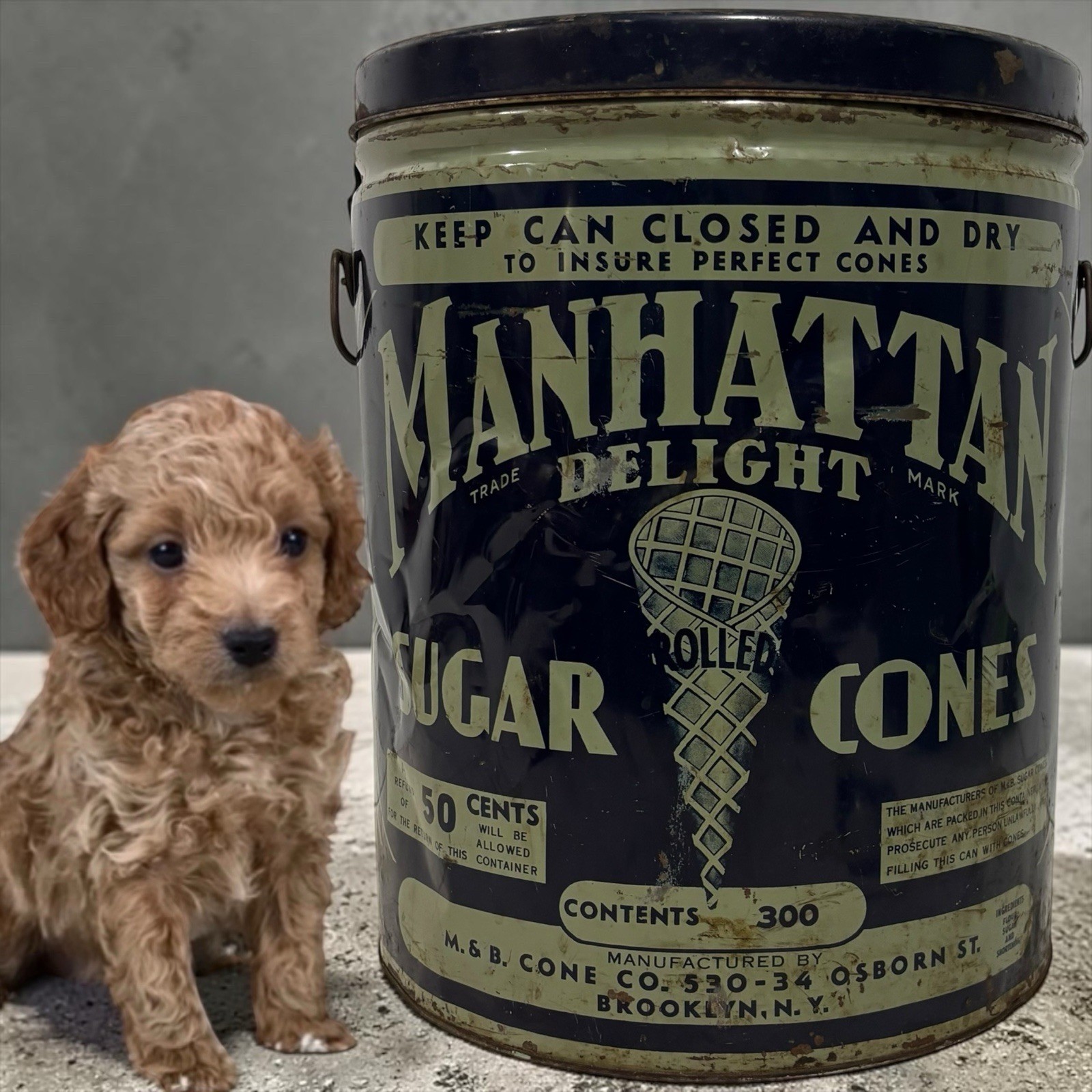 Large Vintage Manhattan Sugar Cone Tin Can Ice Cream Advertising Country Store Large Vintage Manhattan Sugar Cone Tin Can Ice Cream Advertising Country Store
