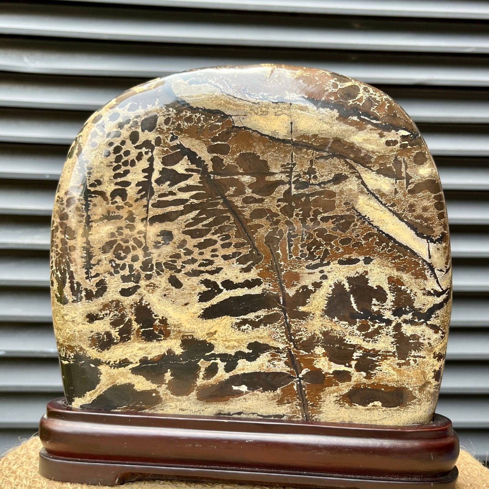 Scenic Stone Natural Pattern Polished Display Art Wood Base  4.7 lb