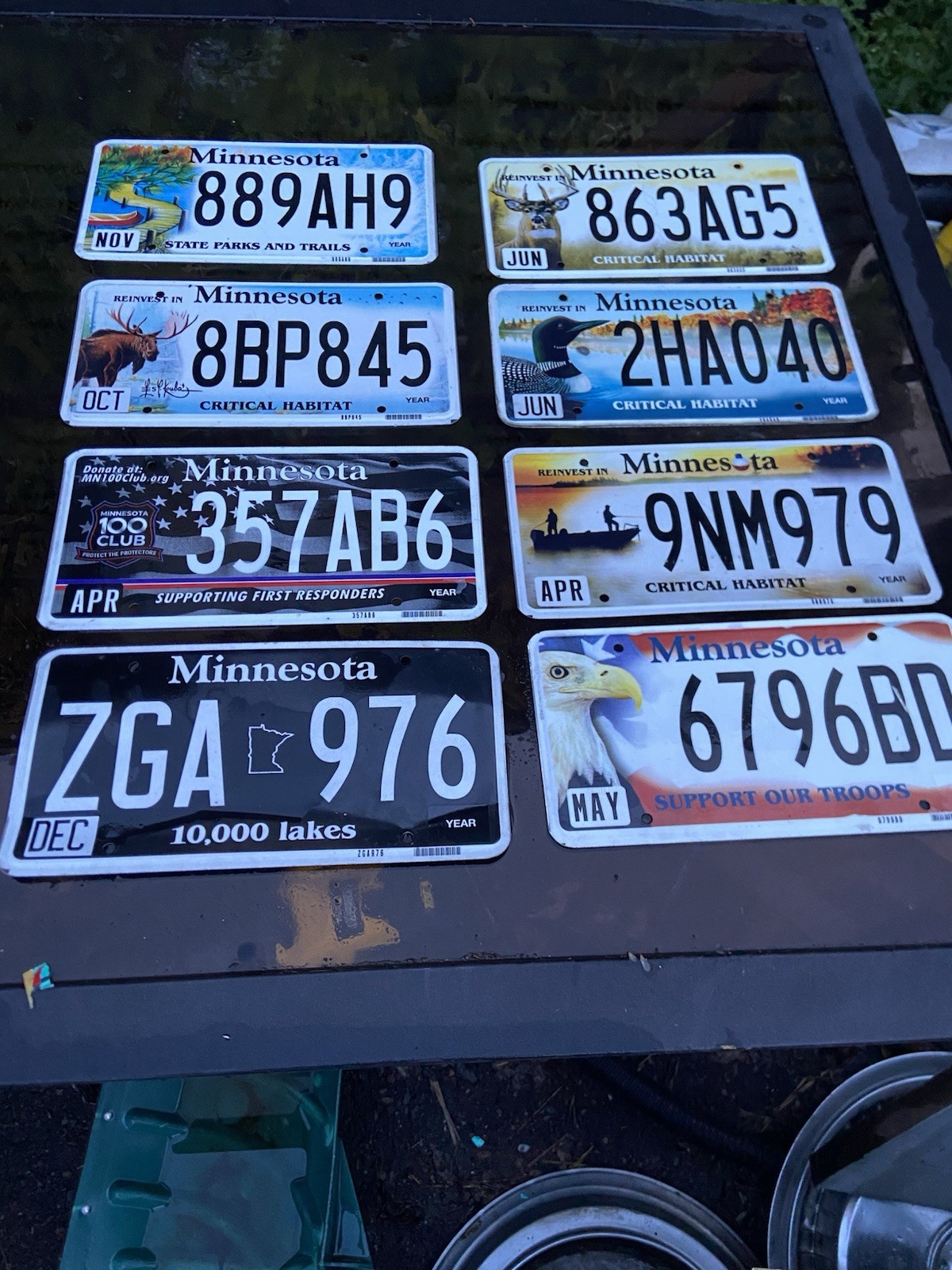 Minnesota License Plates Lot Of 8 Special Edition Plates Expired