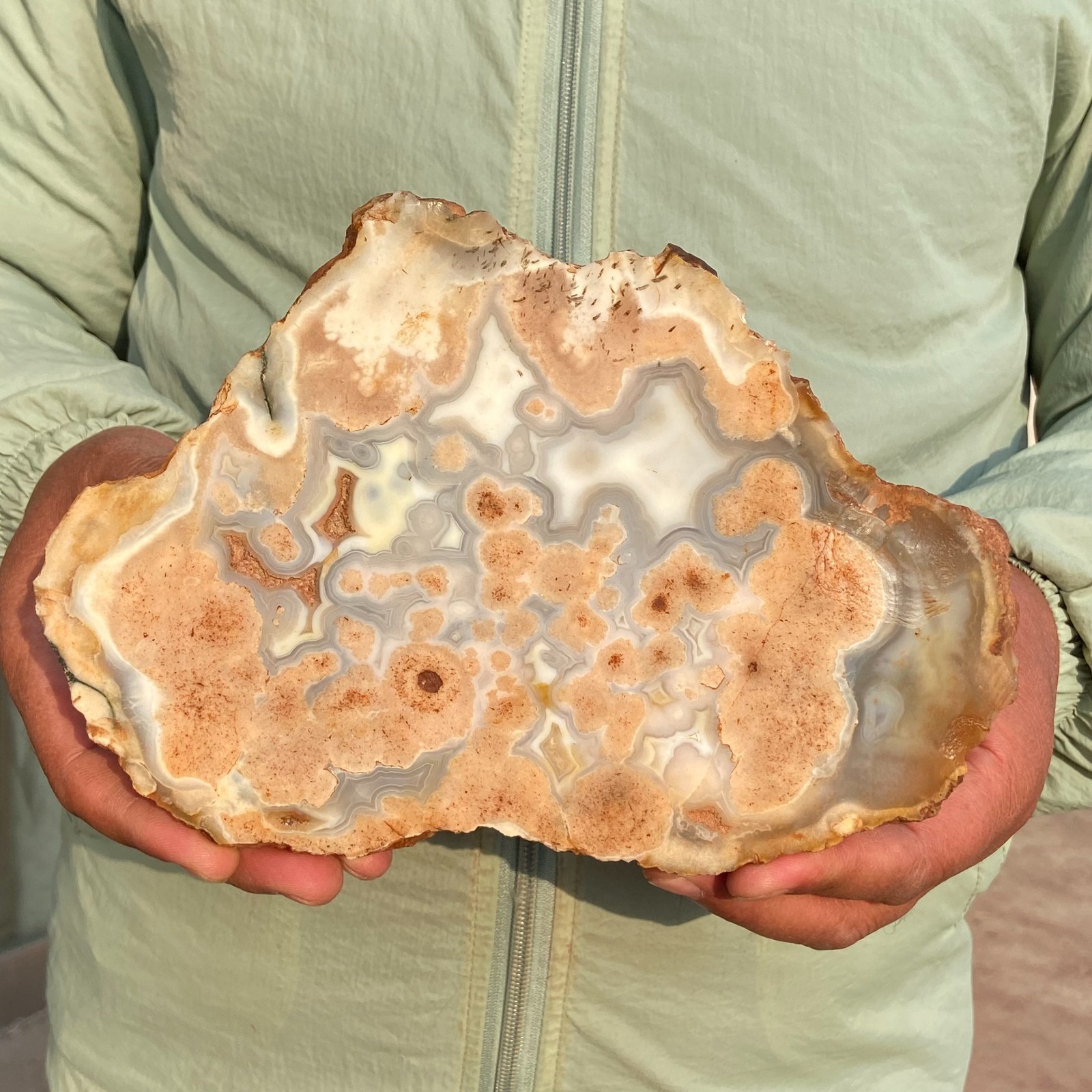 2.84LB Rare Natural Colourfu Agate Slice Quartz Crystal Mineral Specimen Healing