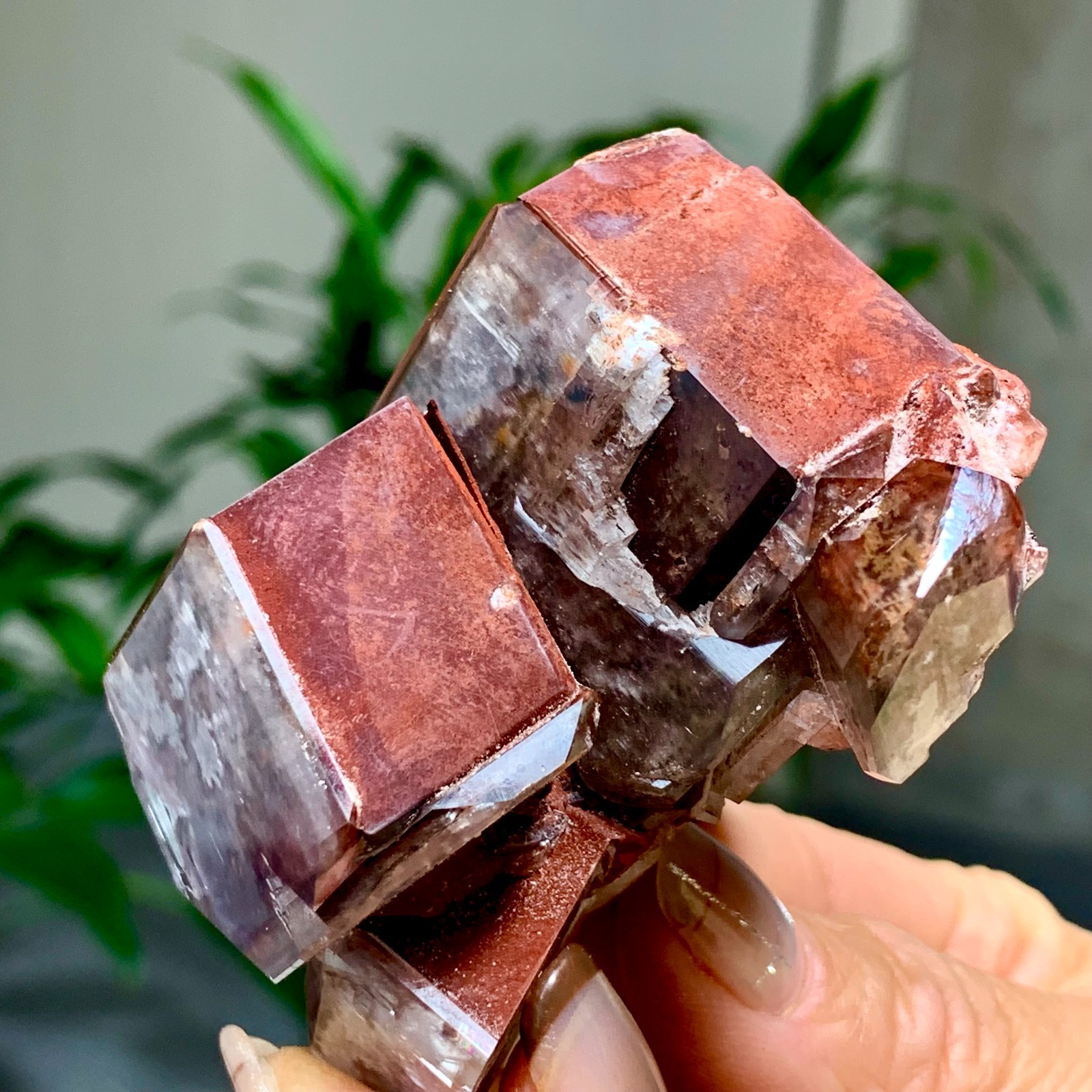 142G Rare Natural Chocolate Calcite Specimen cluster rough mineral sample