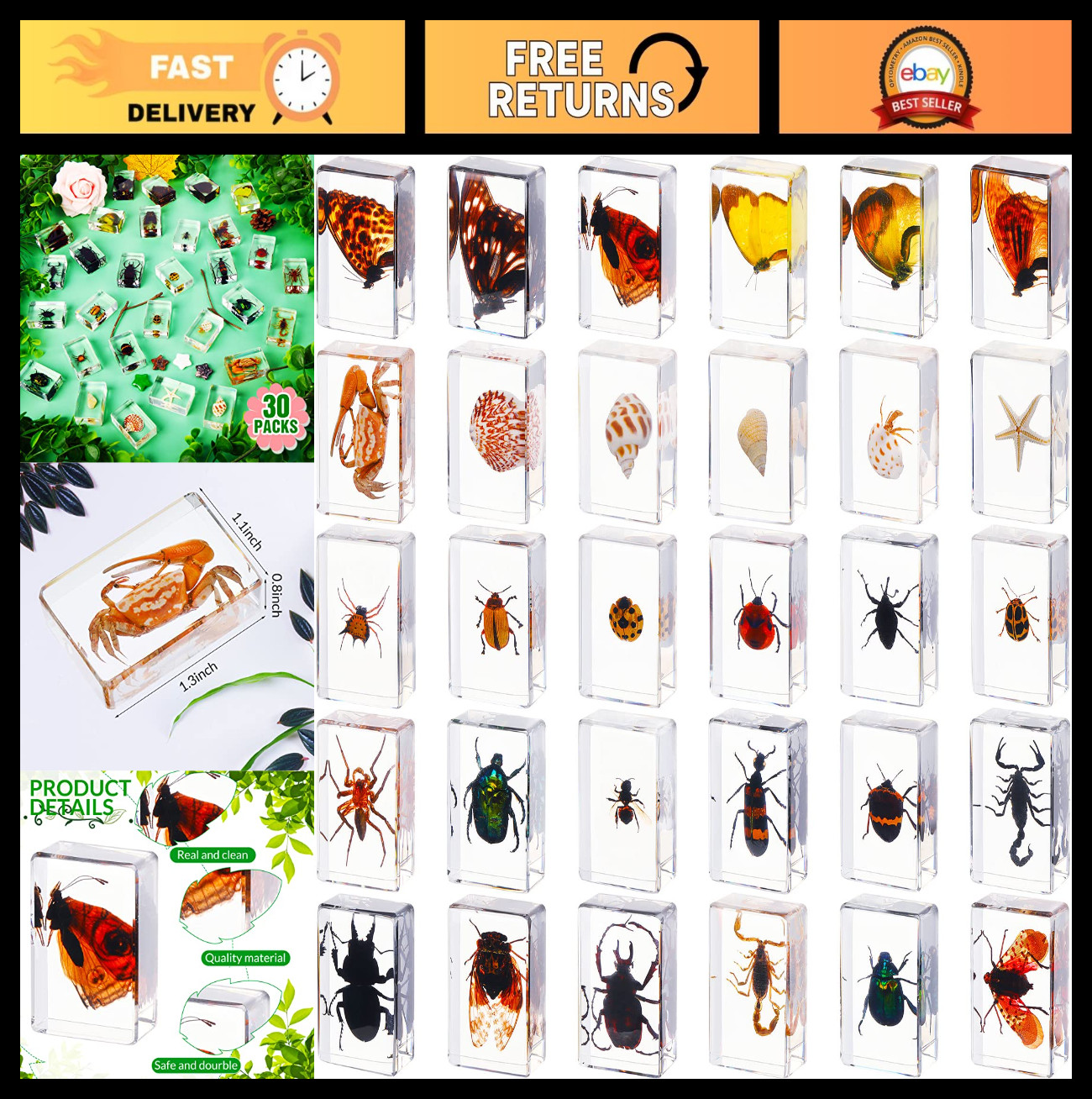 30 Pcs Real Insect Specimens in Resin - Educational Bug Collection Paperweights 30 Pcs Real Insect Specimens in Resin - Educational Bug Collection Paperweights