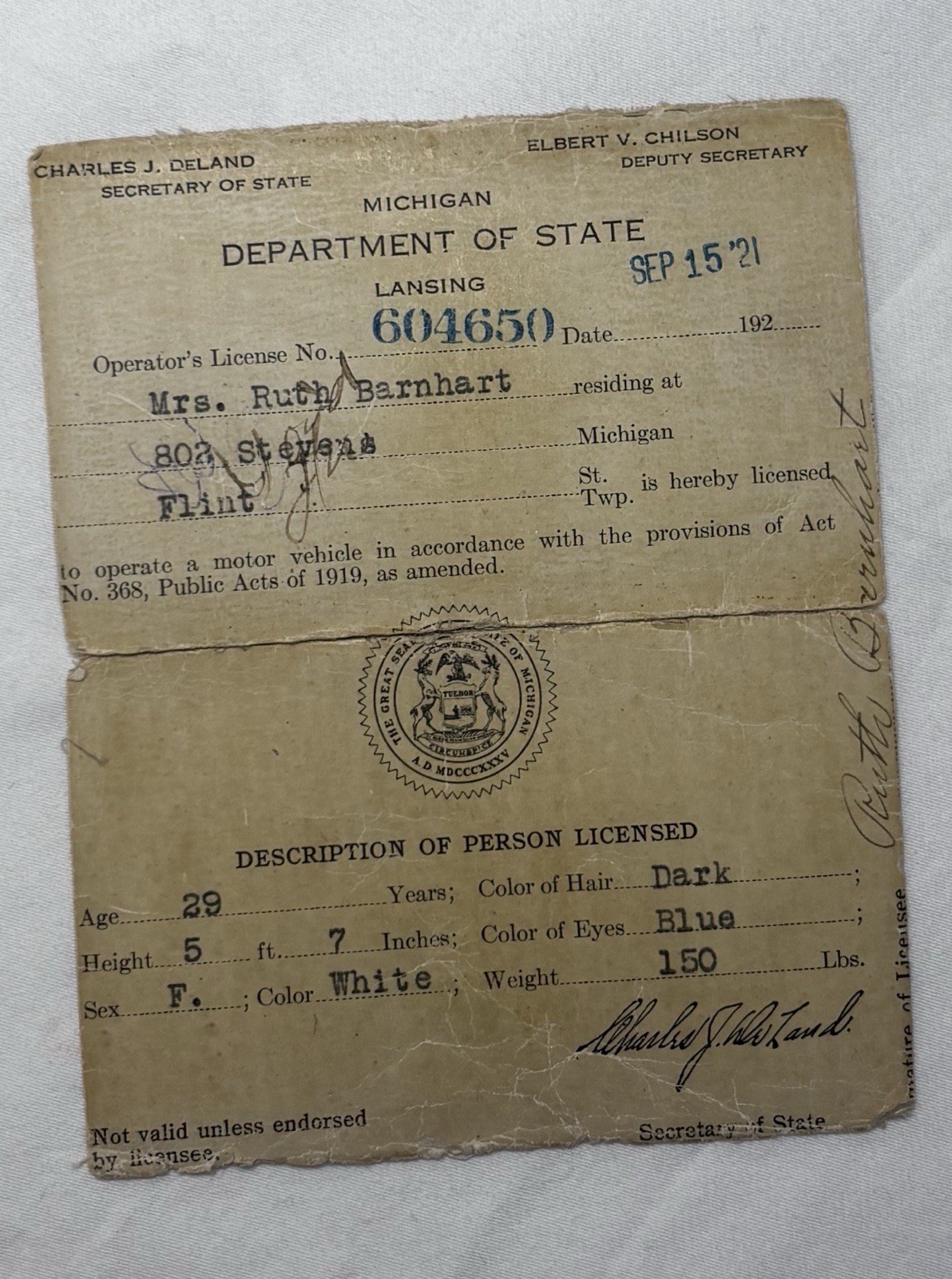 Antique 1921 Michigan Department Of State Operators License