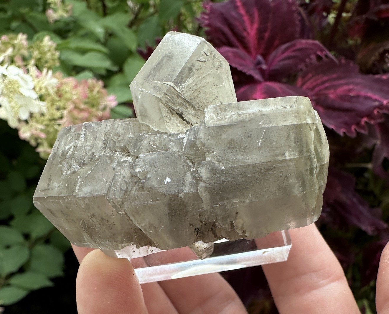 Gypsum Var Selenite Chiusdino, Siena Province, Tuscany, Italy