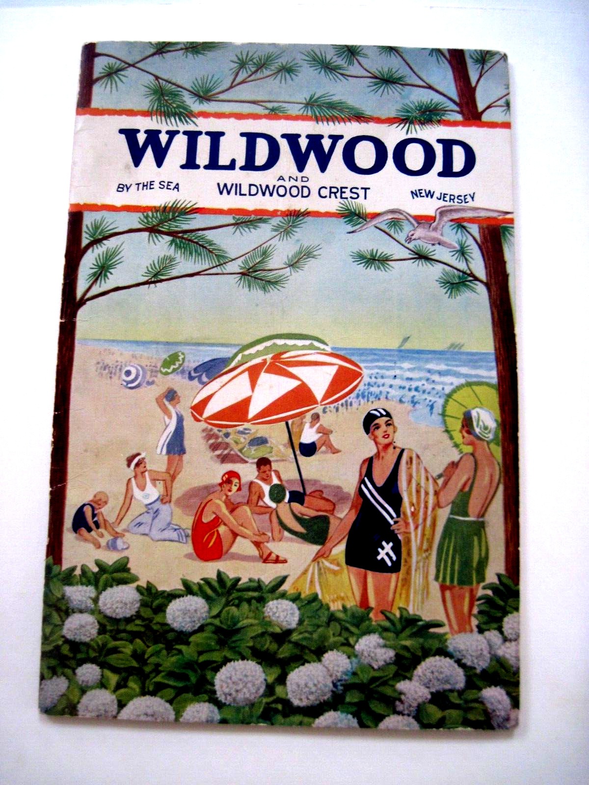 1930 RARE Booklet \ 1930 RARE Booklet \