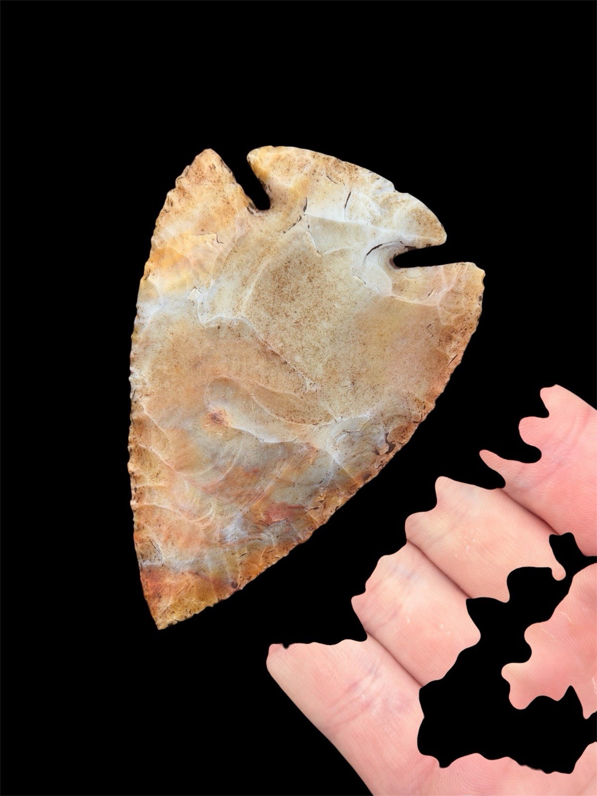 3 1/4” Translucent Dovetail Point, Indian Artifact, Arrowheads 3 1/4” Translucent Dovetail Point, Indian Artifact, Arrowheads