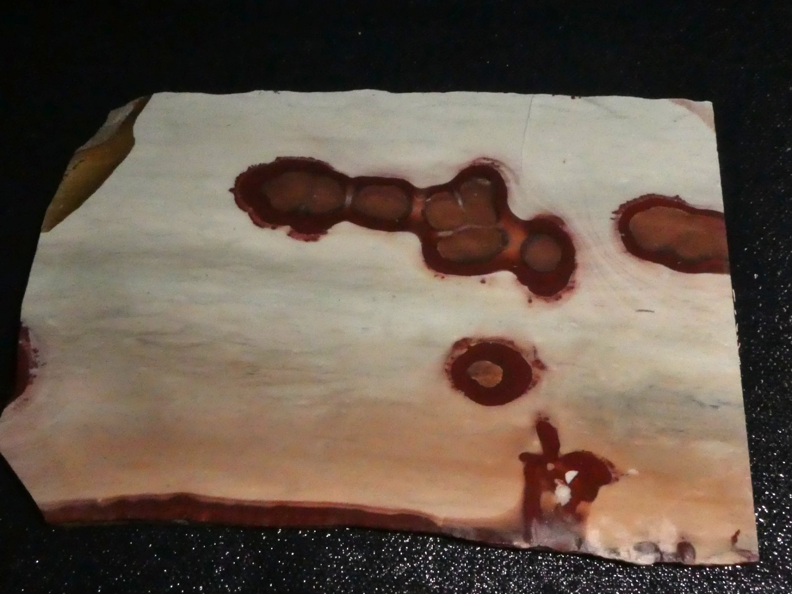 Red Sage Jasper slab-5 5/8\