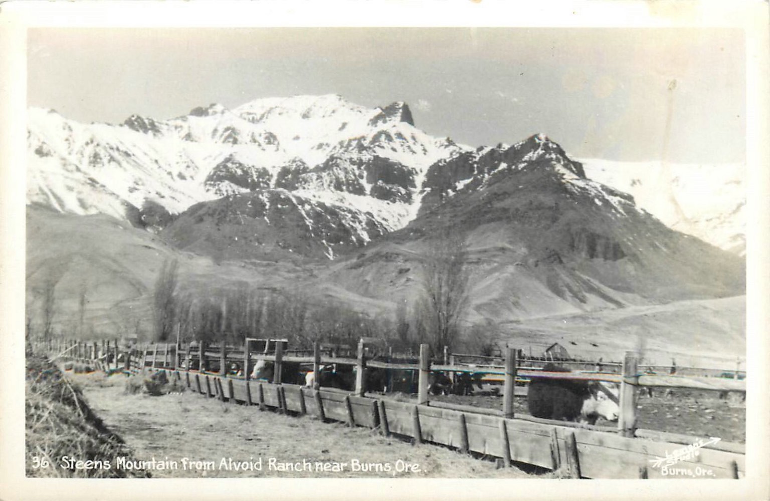 Steens Mountain Alvord Ranch Burns Oregon RPPC Vintage Postcard 1940s Steens Mountain Alvord Ranch Burns Oregon RPPC Vintage Postcard 1940s