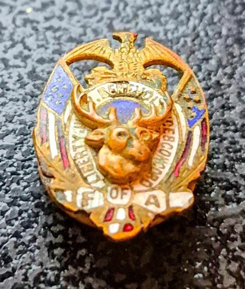ANTIQUE FORESTERS OF AMERICA FRATERNAL LAPEL PIN - EARLY 1900\'S