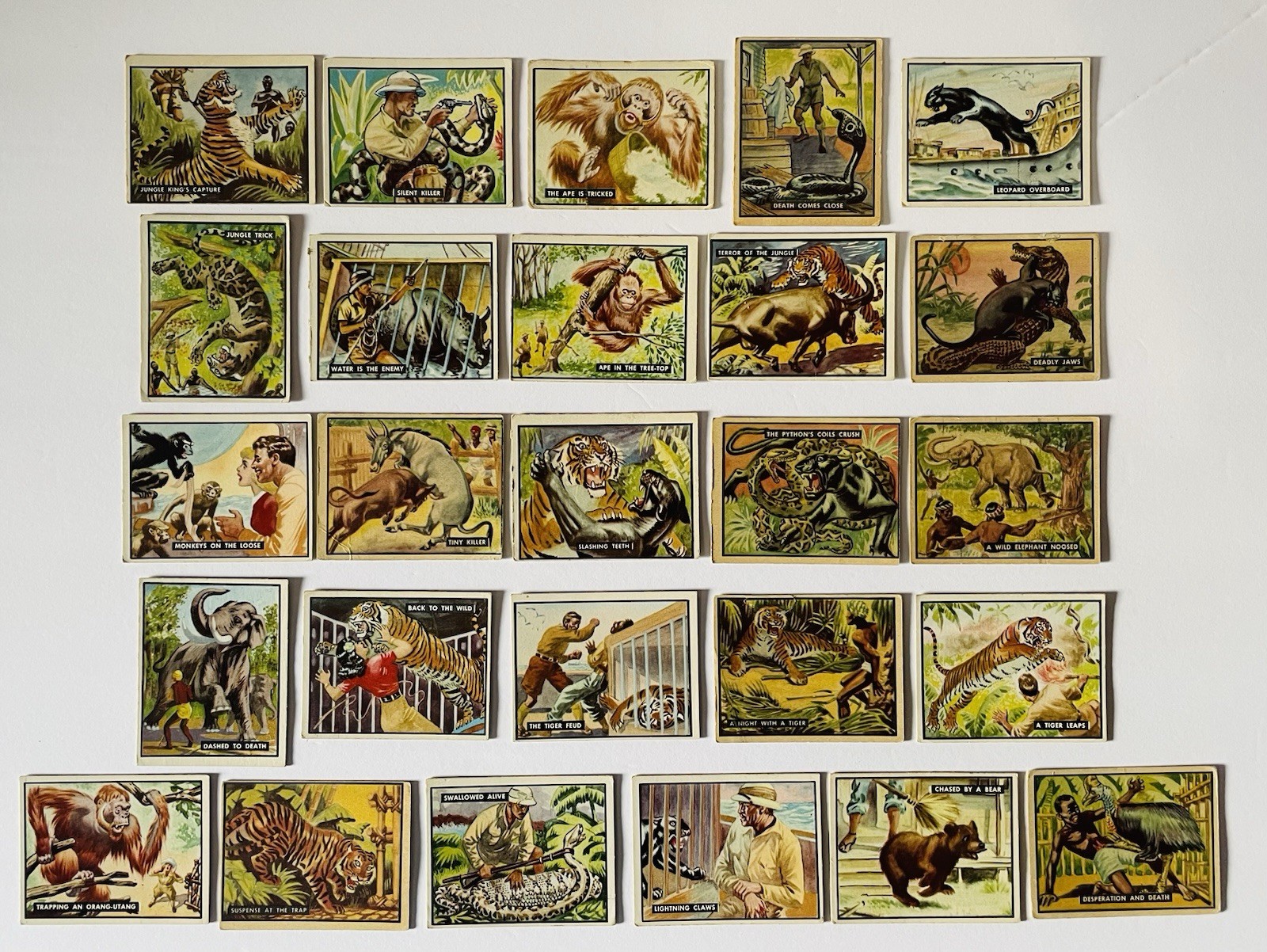 Frank Buck Bring Em Back Alive, 1950 Cards, Lot Of 51 Plus 4 Duplicates.