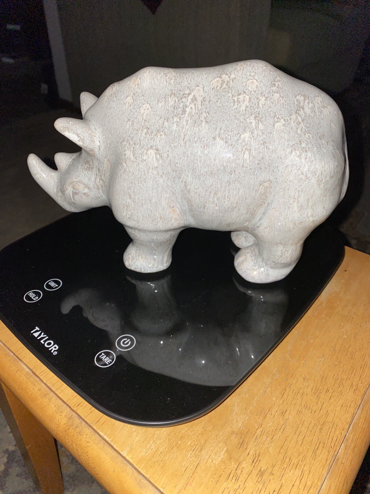 Ceramic Or Porcelain Rhinoceros Figure Smooth TouchOne Of A Kind. No Info On It