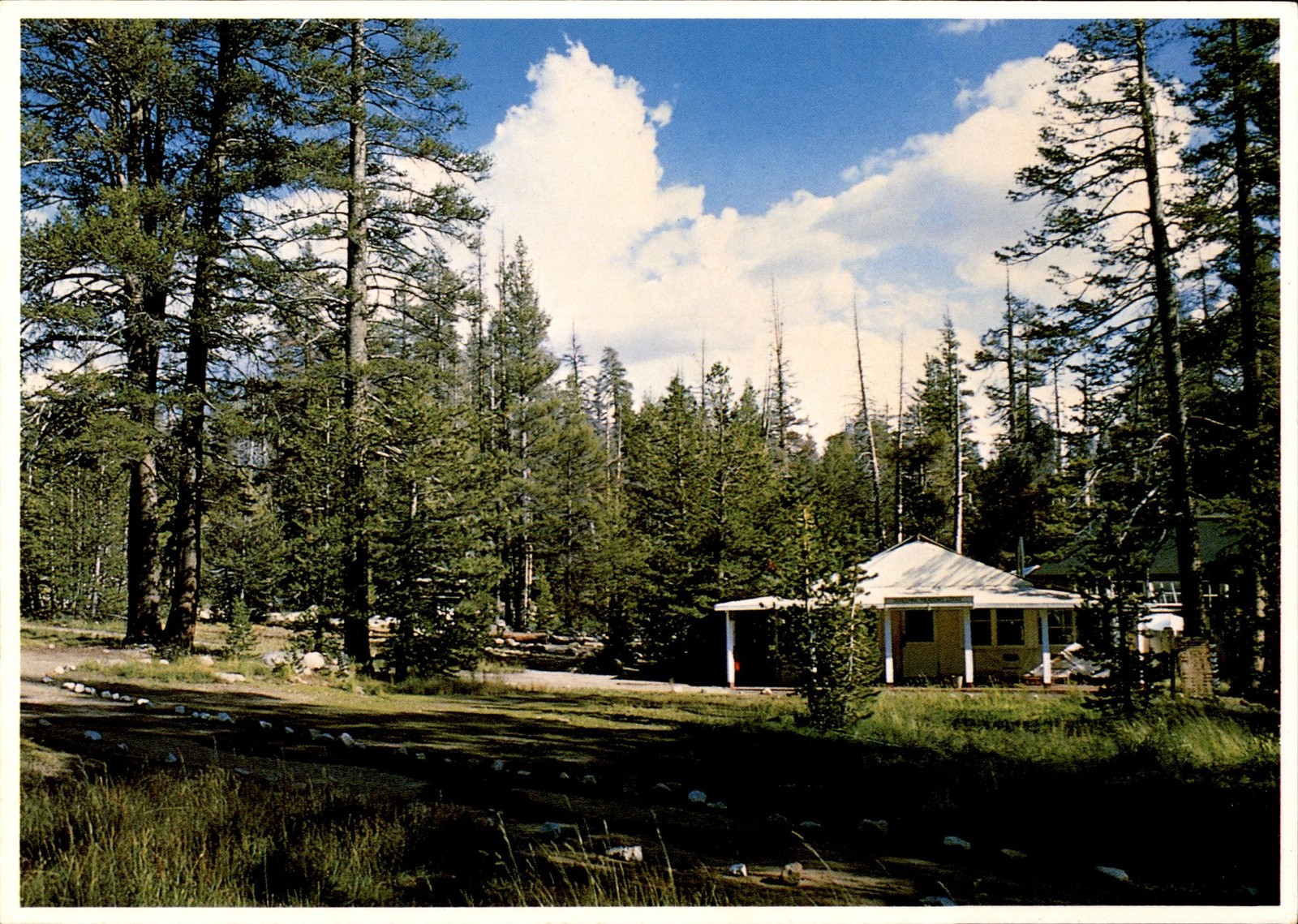1983 Tuolumne Meadows Lodge Yosemite National Park Postcard Impact CA