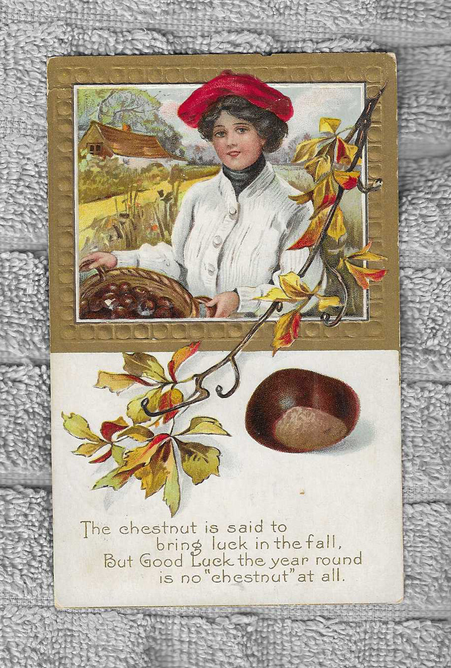 vtg 1911 postcard The chestnut is said to bring luck in the fall Good Luck  PP