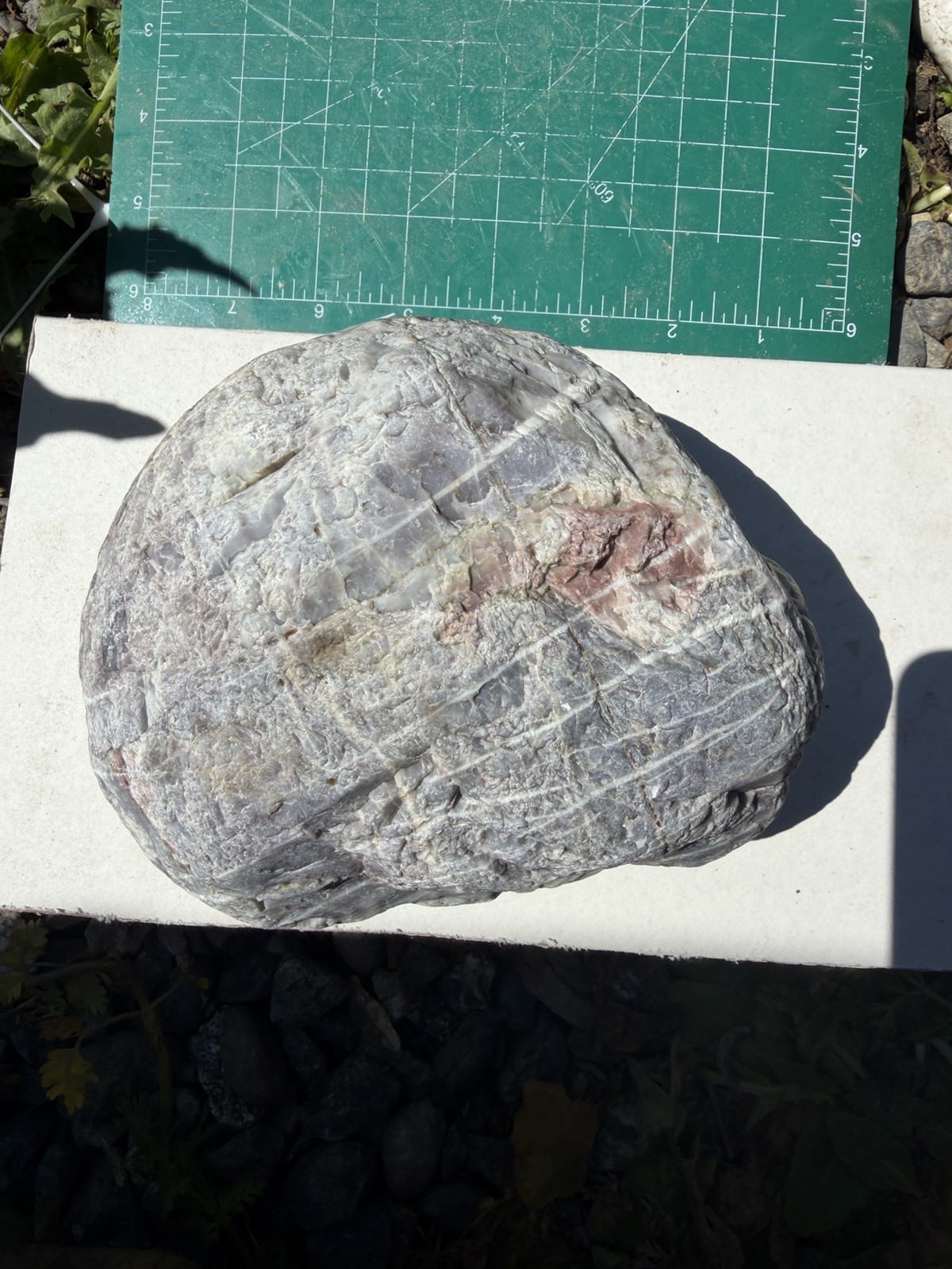Massive Silicified Chalcedon•Jasper Rough•Lavender Gray with Pink Mineral Zones