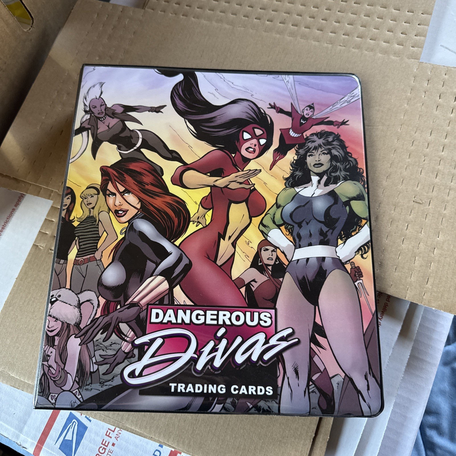 2011 Dangerous Divas Series 1  Binder Only Rittenhouse