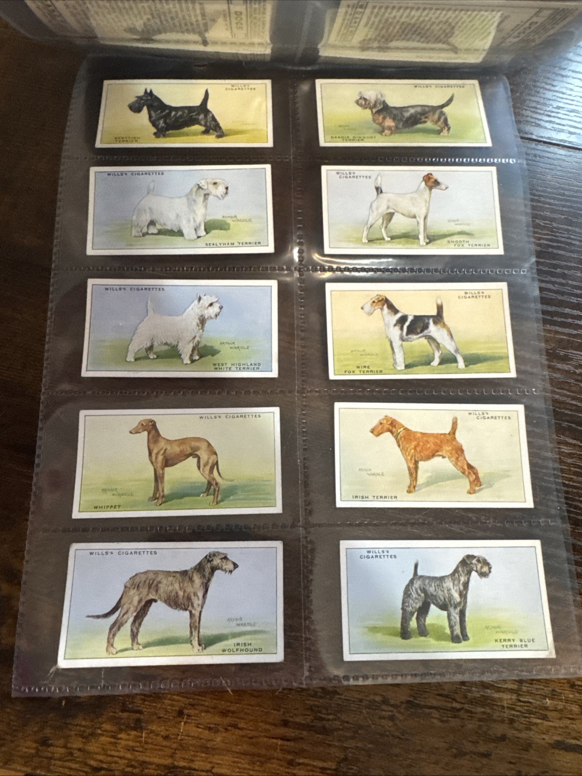 Vintage 1937 Wills “Dogs” Complete 50 Card Tobacco Card Set Terrier Bulldog