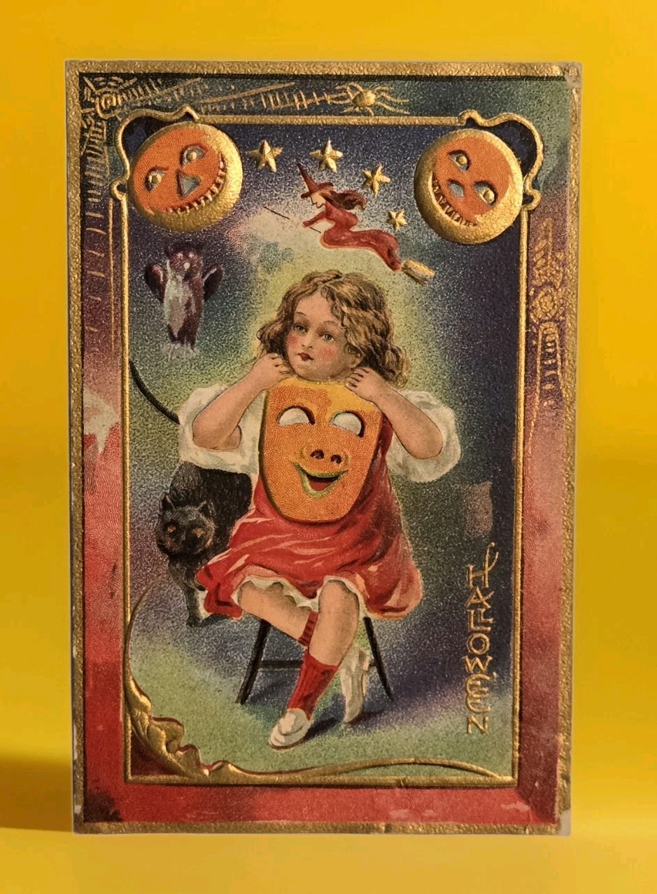 Vintage Halloween Postcard Series No. 5 Witch Black Cat Owl Stunning 1912