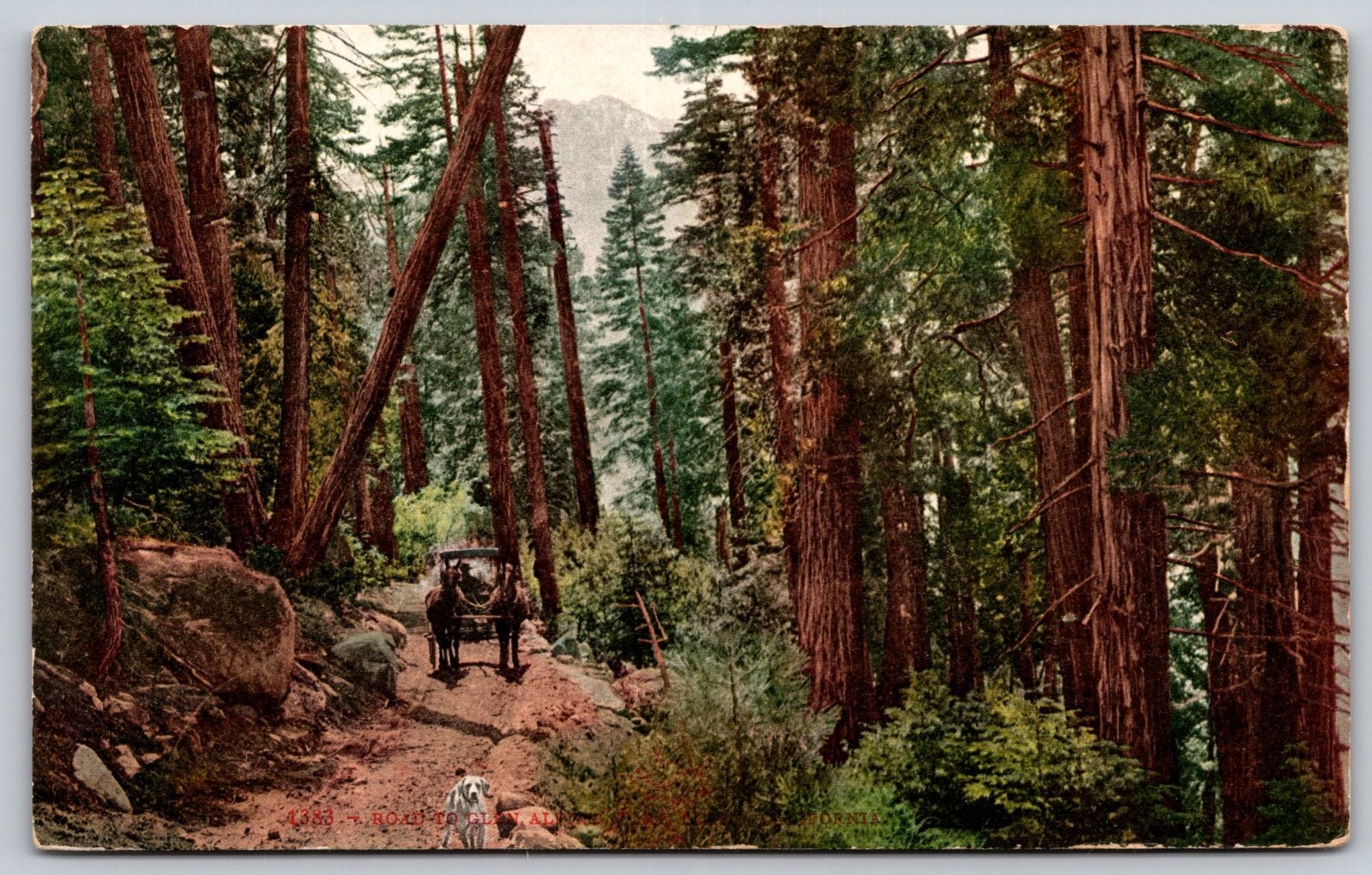 Mariposa Big Trees Road Yosemite California Horse Carriage Postcard PC266 Mariposa Big Trees Road Yosemite California Horse Carriage Postcard PC266