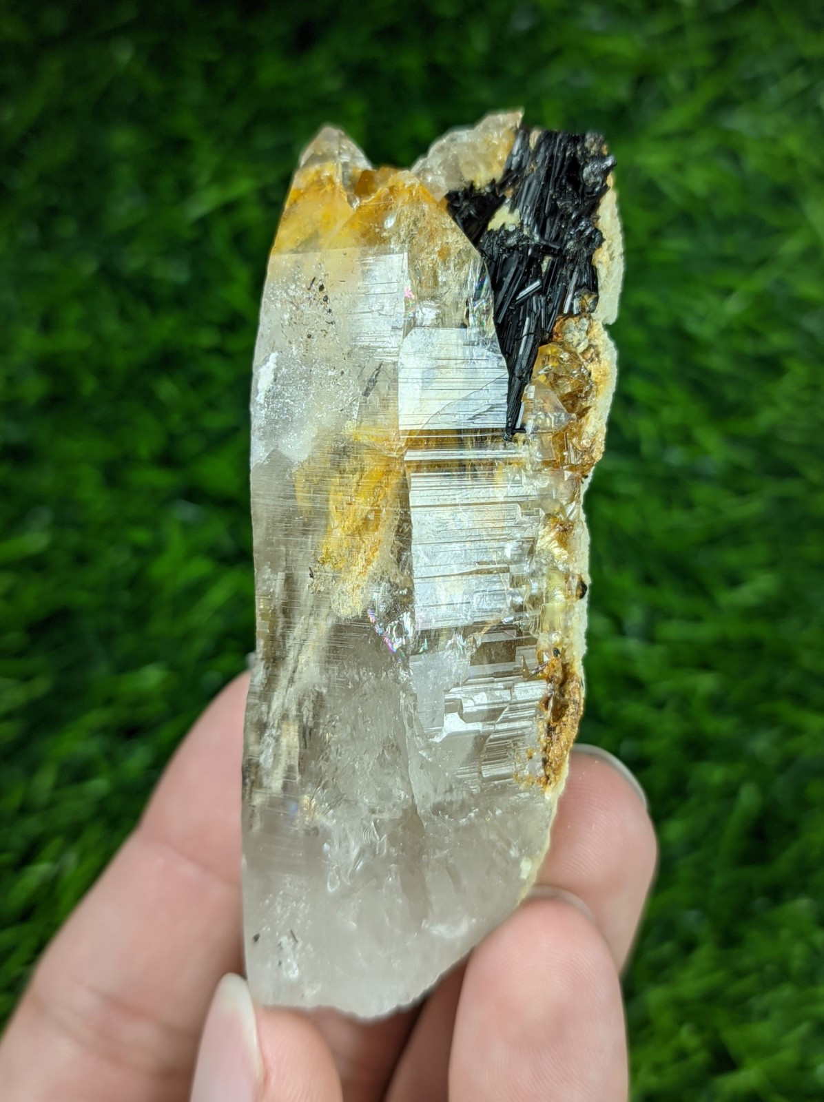 113-gm Rutile included Lemurian Quartz Crystal with Black Tourmaline & Albite