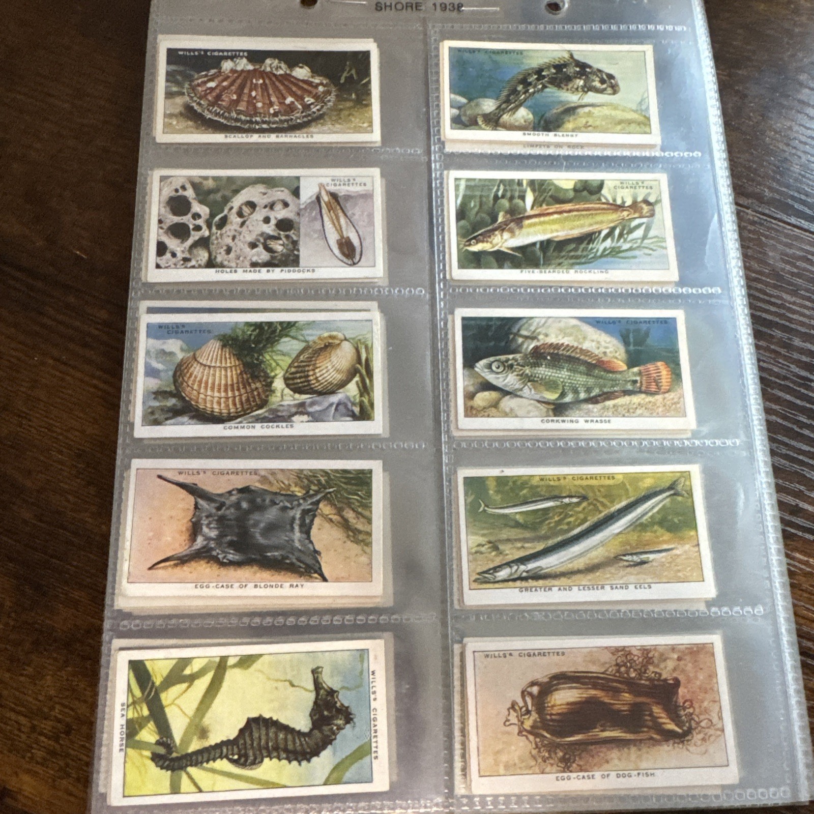 CIGARETTE CARDS. Wills Tobacco. THE SEA-SHORE. (1938). (Complete Set of 50).