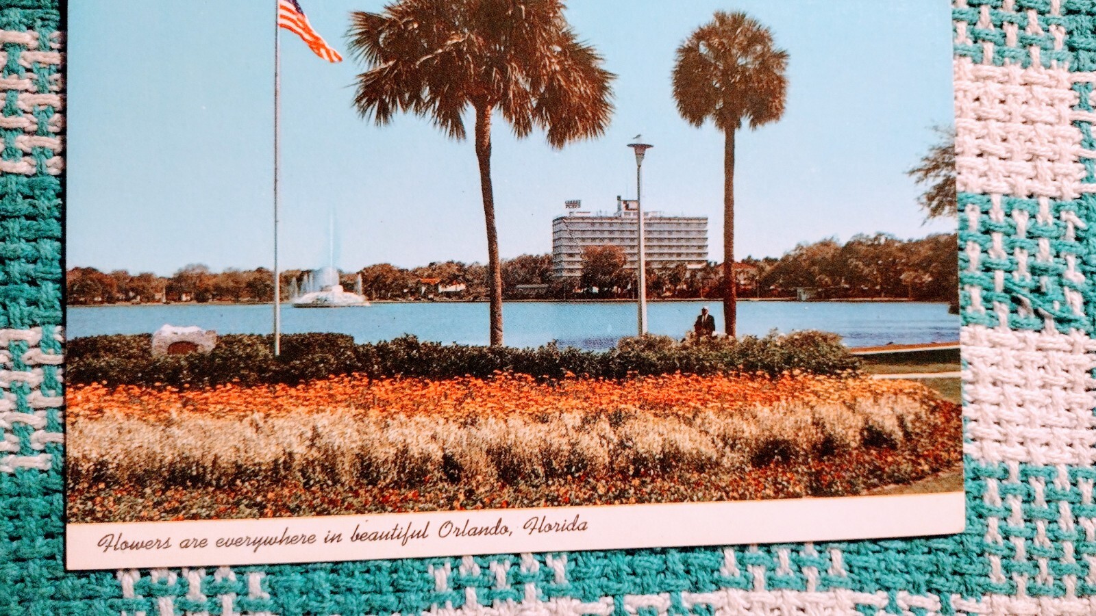 VINTAGE POST CARD FLOWERS IN BEAUTIFUL ORLANDO FLORIDA.