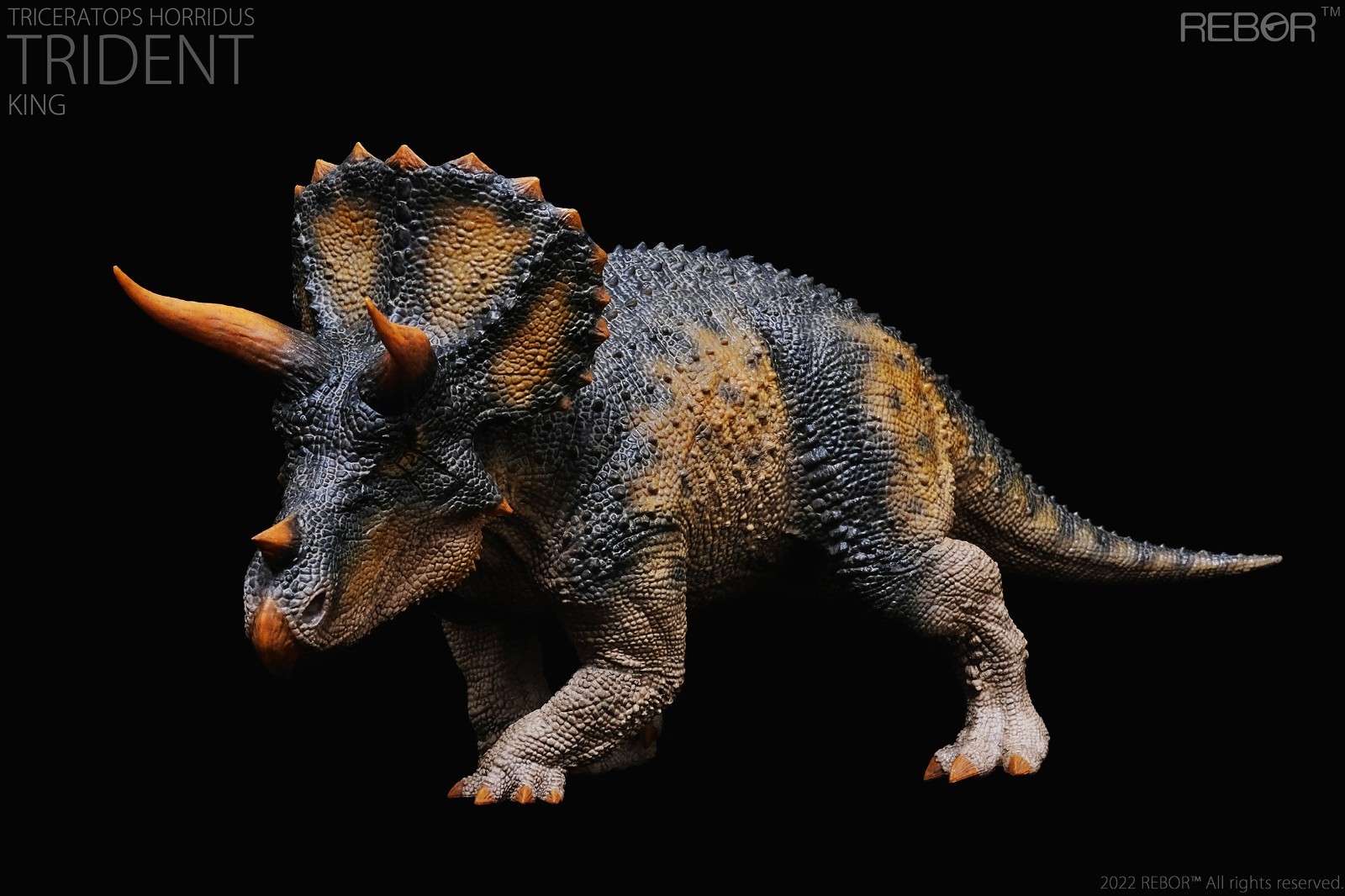 REBOR 1:35 Triceratops horridus \