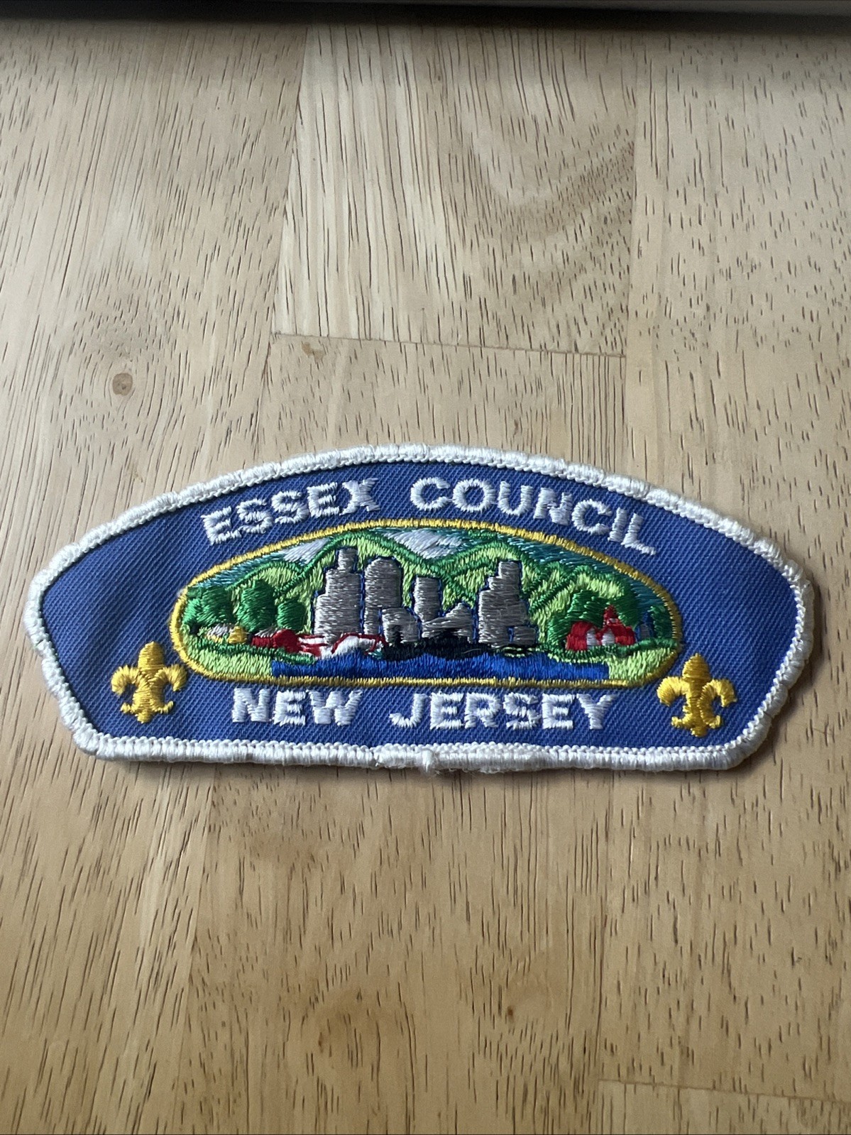 Vintage Essex Council New Jersey CSP Boy Scouts America BSA Patch Vintage Essex Council New Jersey CSP Boy Scouts America BSA Patch