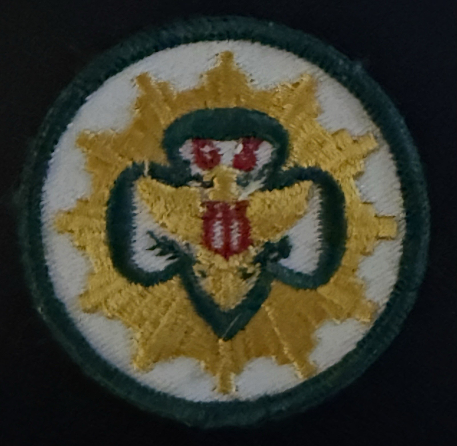 RARE NEW 1974 Vintage Senior Girl Scout GENERAL INTEREST PATCH Badge