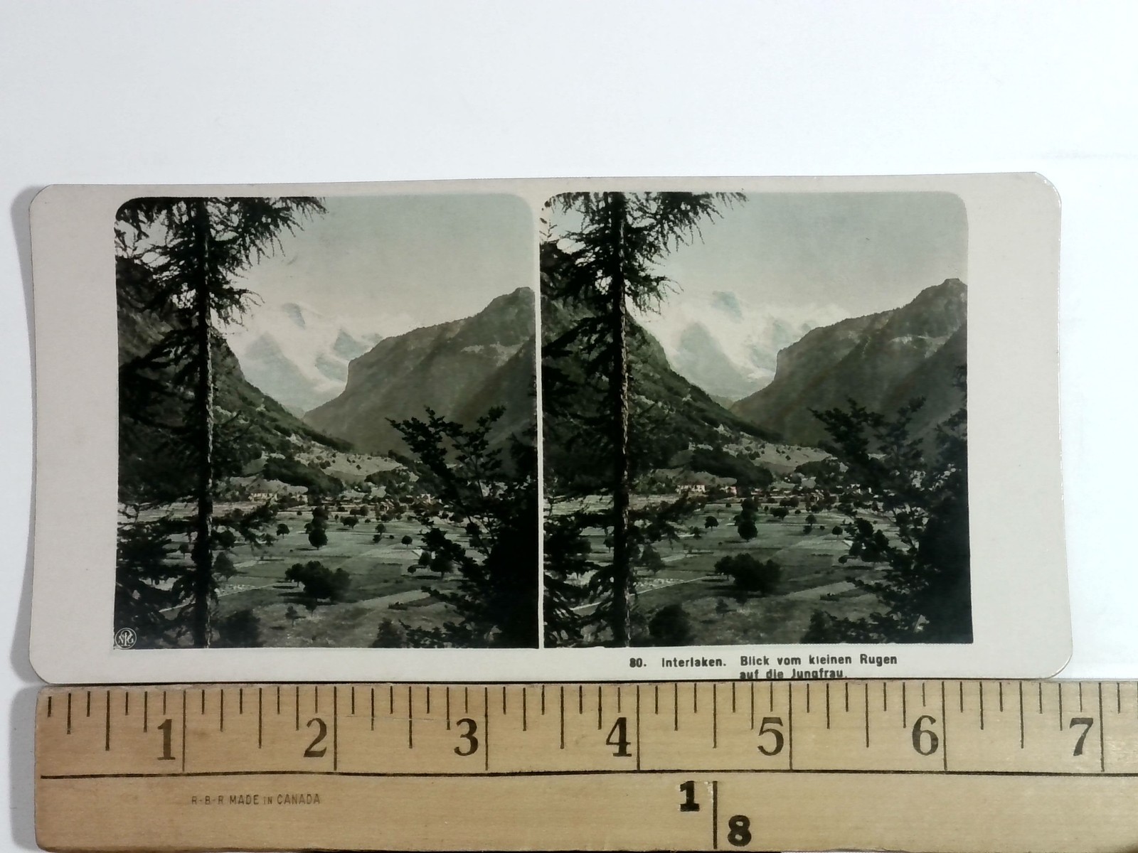Interlaken Jungfrau Stereoview Card NPG Switzerland Alps Landscape