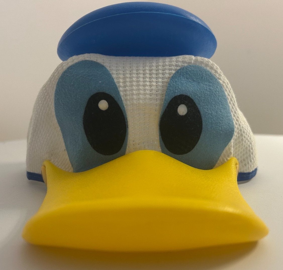 Vintage Donald Duck Squeaker Mesh Kids Hat Cap Walt Disney World Park