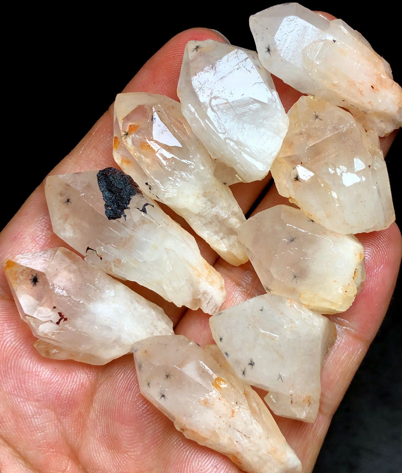 87g 9PCS RARE Natural Hollandite Star Quartz CRYSTAL Point &Trapiche Hair  j339
