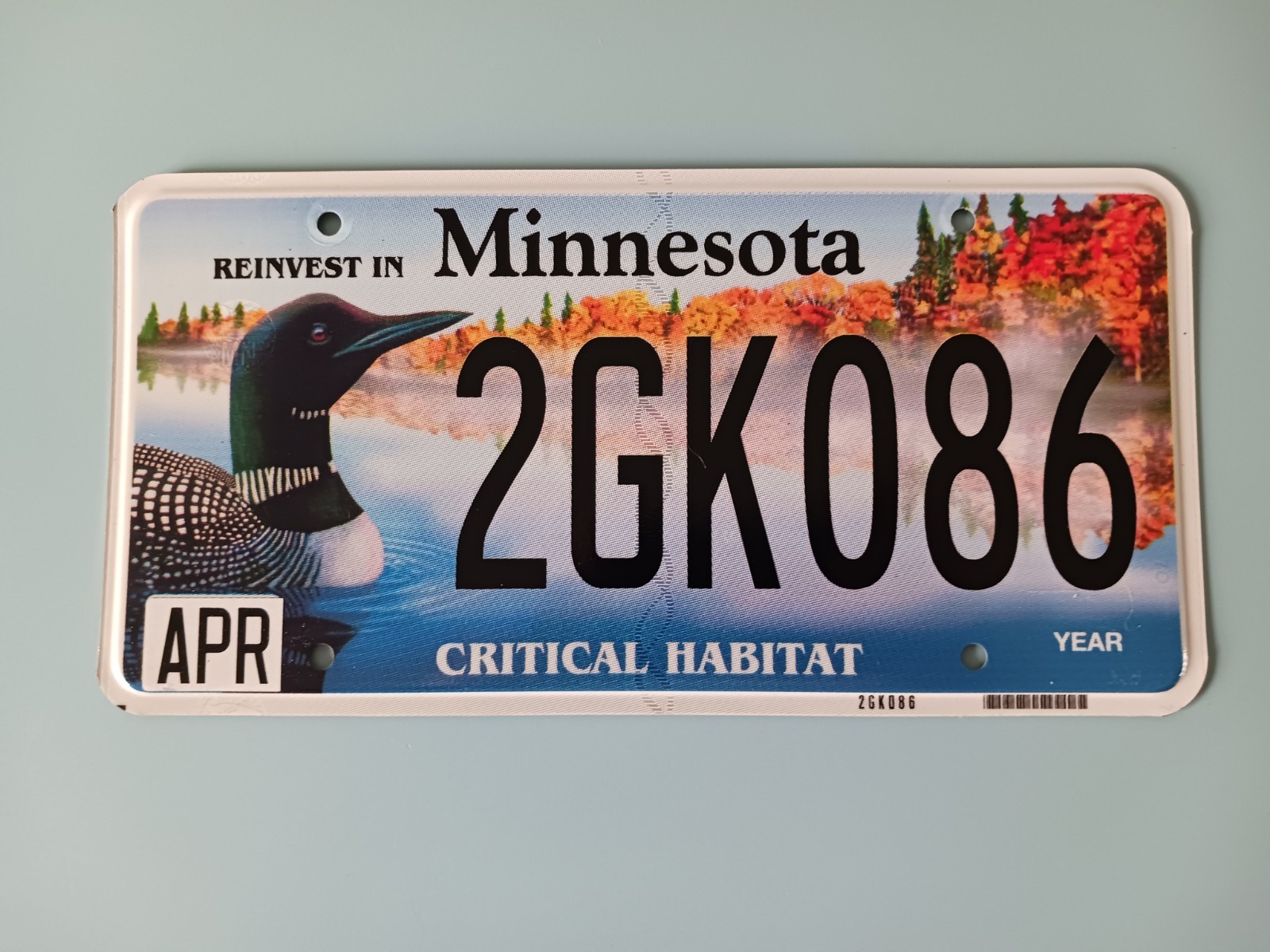 2020 Reinvest In Minnesota Critical Habitat Loon License Plate 2GK086 No Sticker