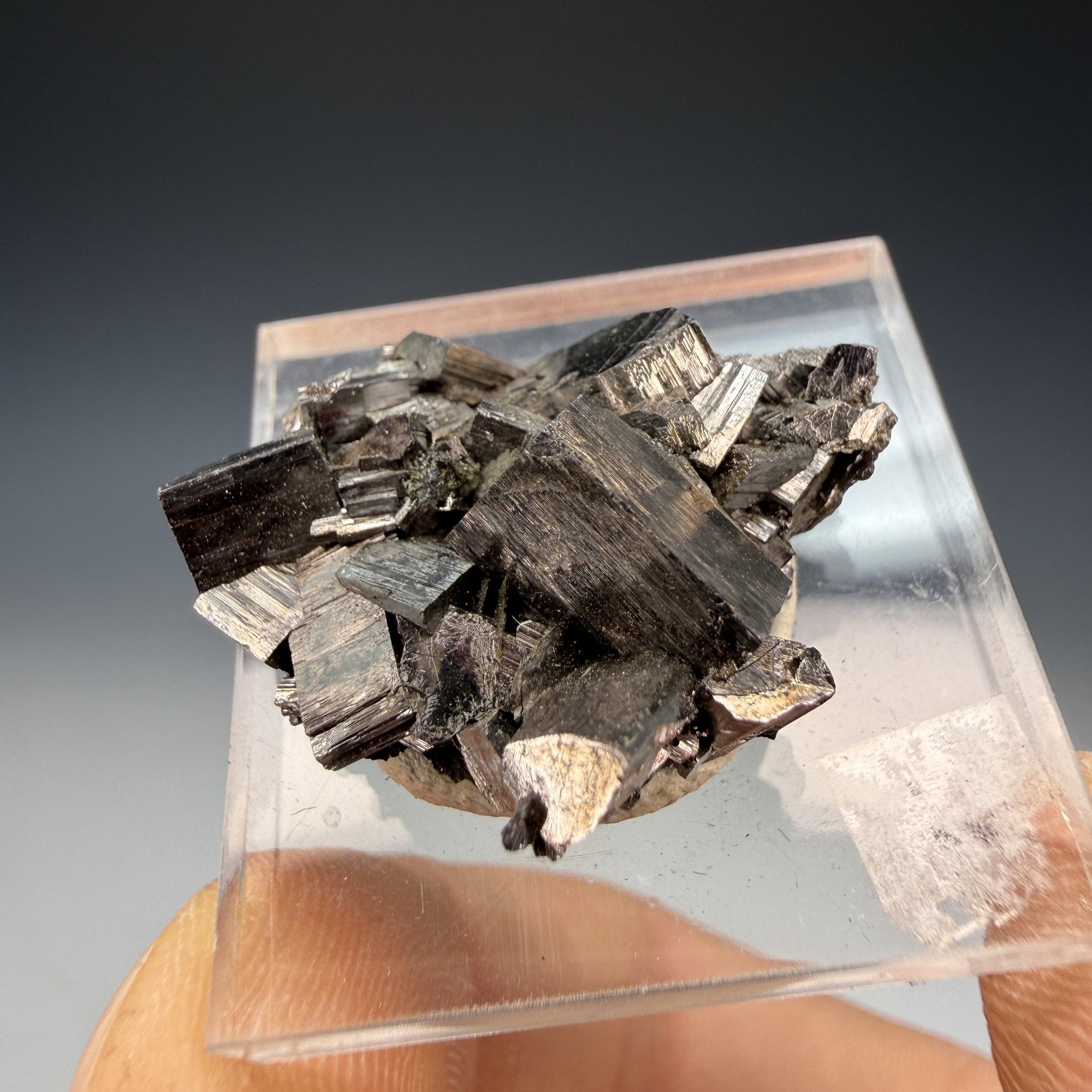 Enargite, Tramway Mine, Butte, Silver Bow Co, Montana, USA Enargite, Tramway Mine, Butte, Silver Bow Co, Montana, USA