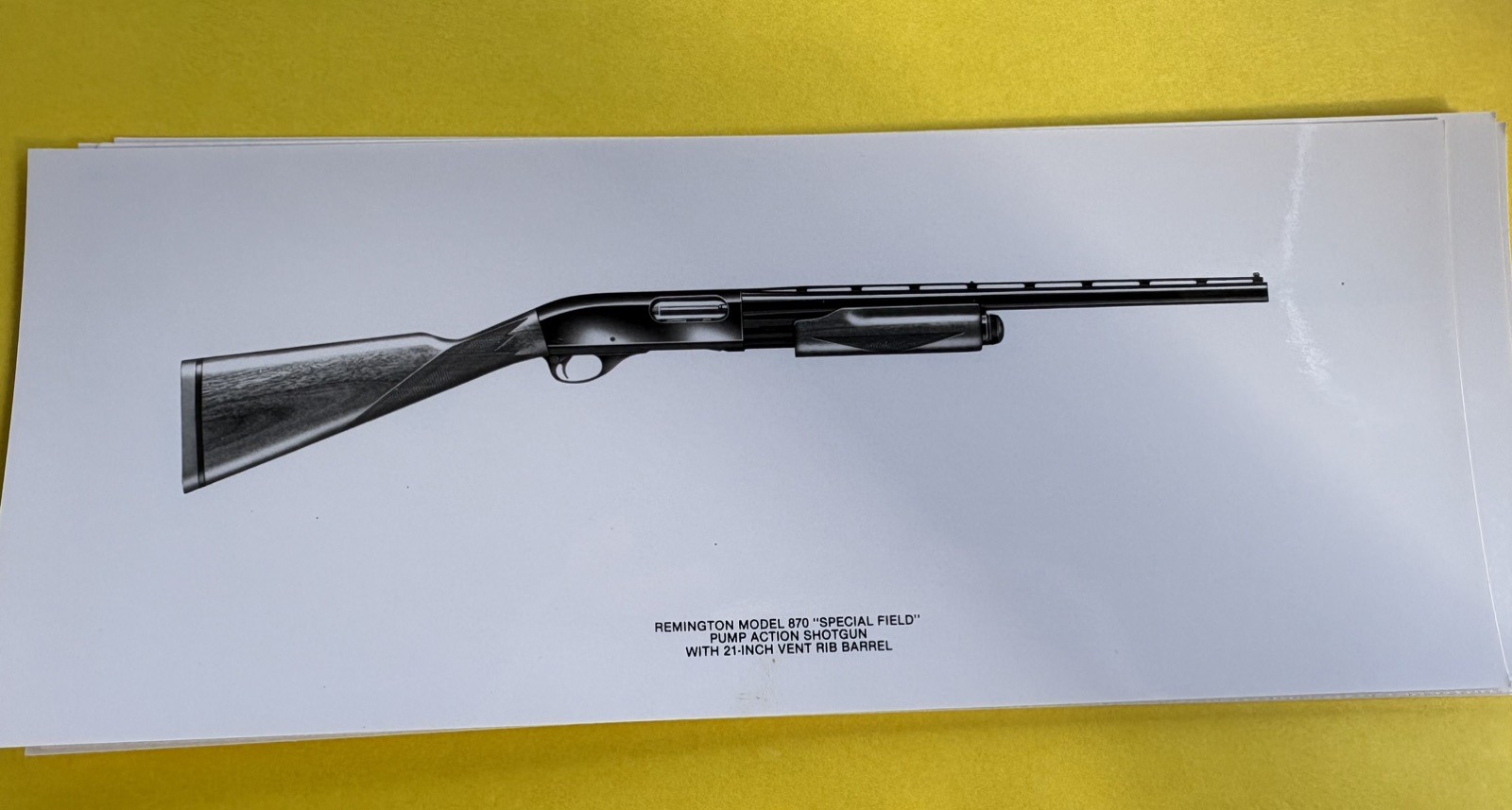 Set of 8 Original Remington Arms Factory Photographs. 