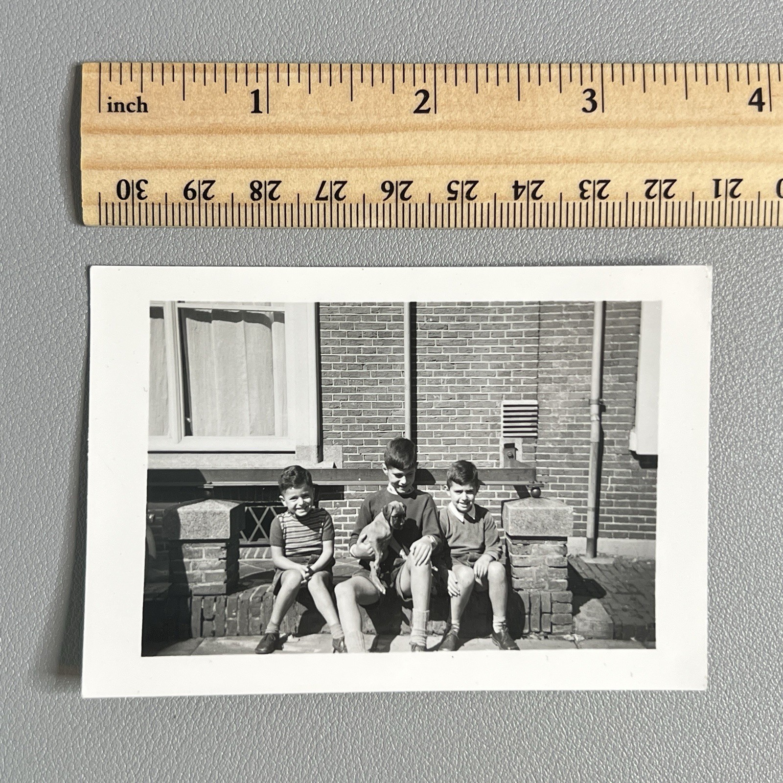Vintage 1950s Photo Three Boys Boxer Puppy Dog Agfa-Lupex Found Art Photo OOAK