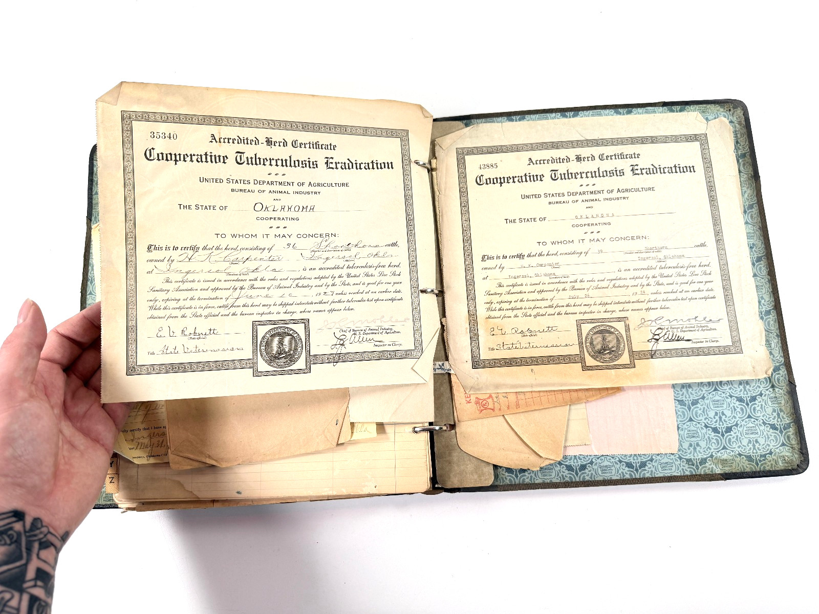vtg 1920s American Shorthorn Breeders Assoc HISTORY Oklahoma OK Carpenter