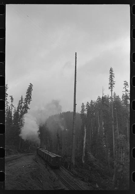 Ryderwood Washington 1941 Lumberjacks Crummies Long Bell Lumber Company