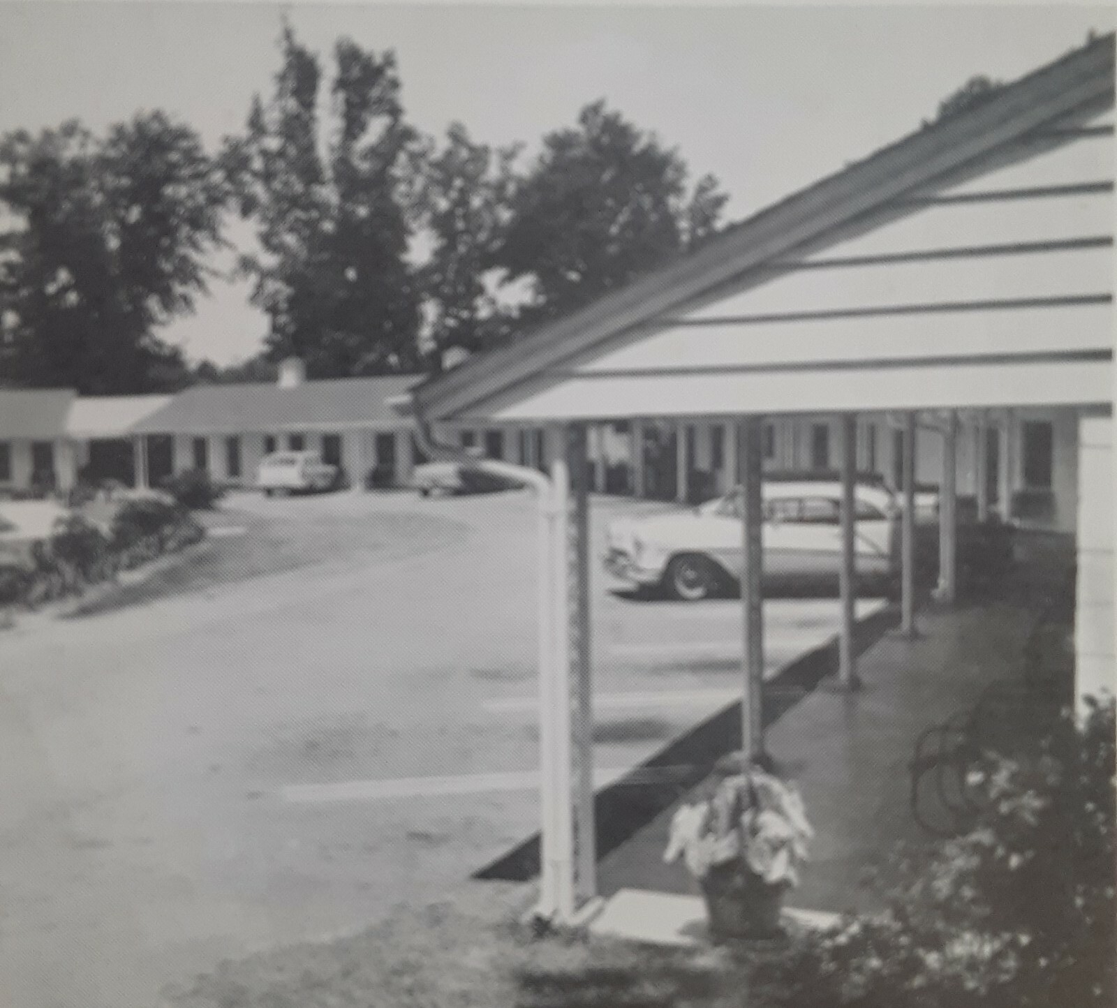 THE RILEY MOTEL - Unusually Nice Wilmington, NC Vintage B&W Postcard. Old Cars.