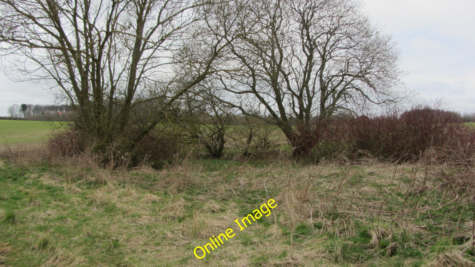 Photo 12x8 The source of the Gypsey Race Wharram le Street The spring risi c2013