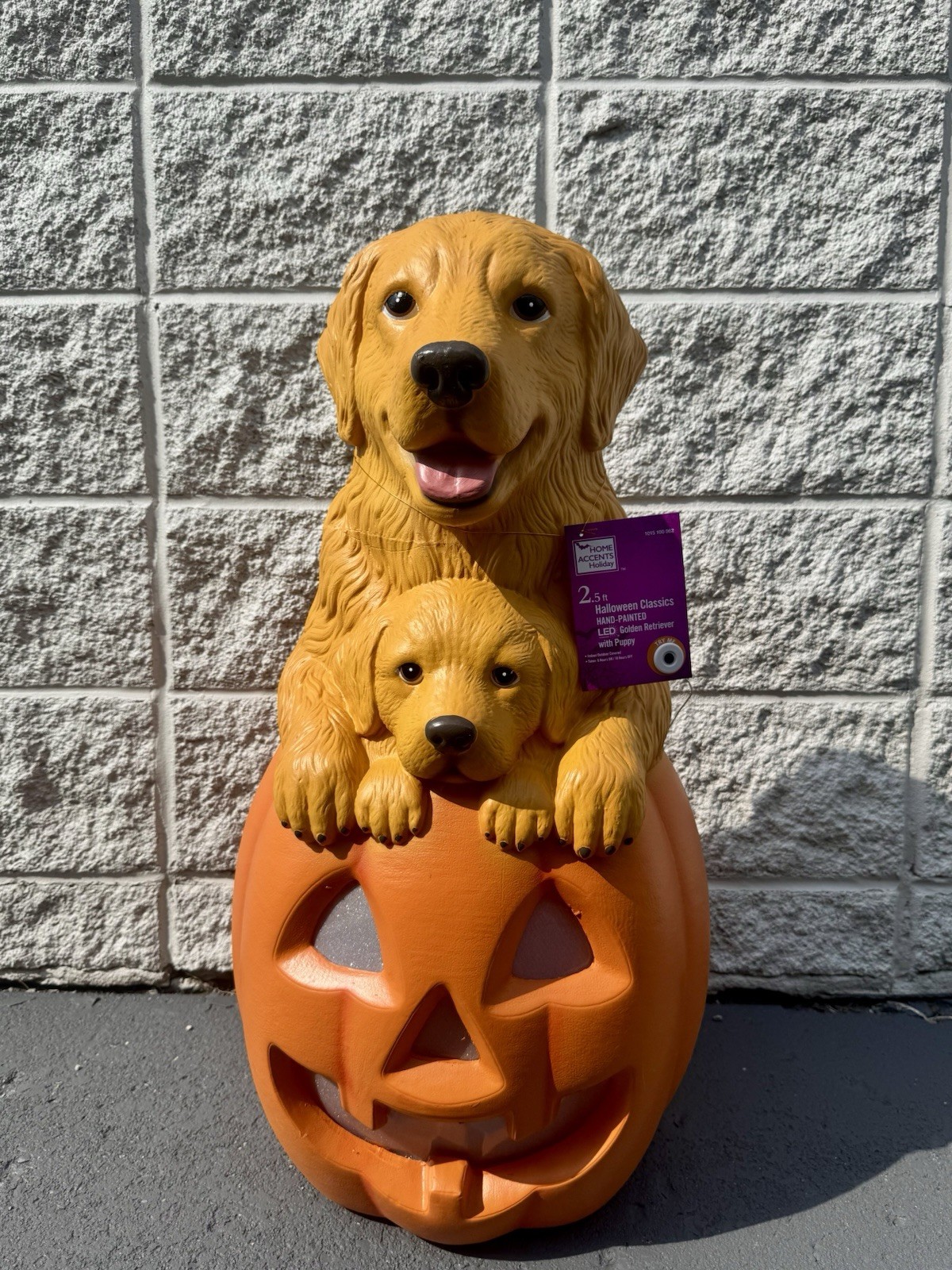 2026 Home Depot 2.5 Ft Golden Retriever w Puppy Pumpkin Halloween Blow Mold 🎃